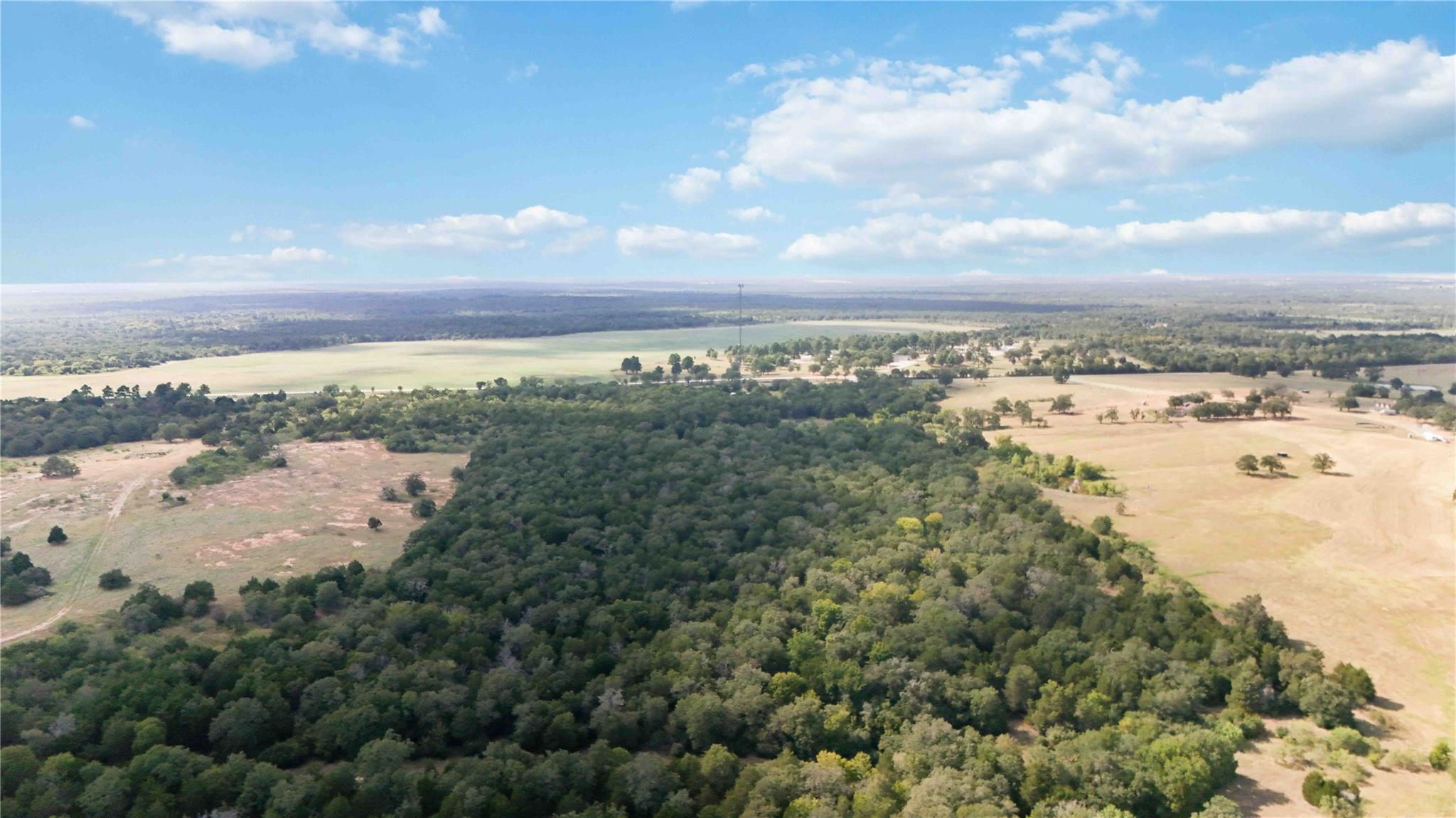 TBD FM 2336, McDade, TX 78650