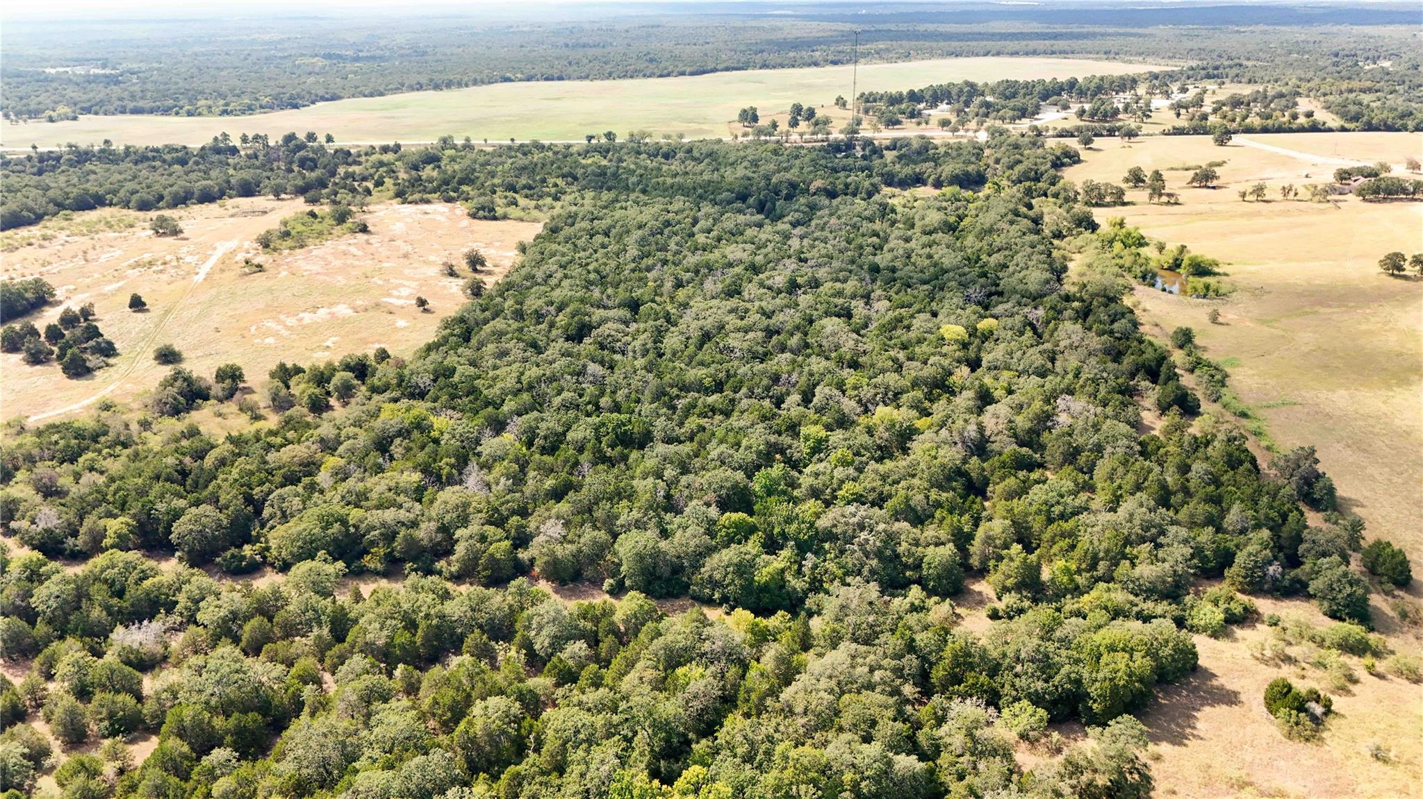 TBD FM 2336, McDade, TX 78650
