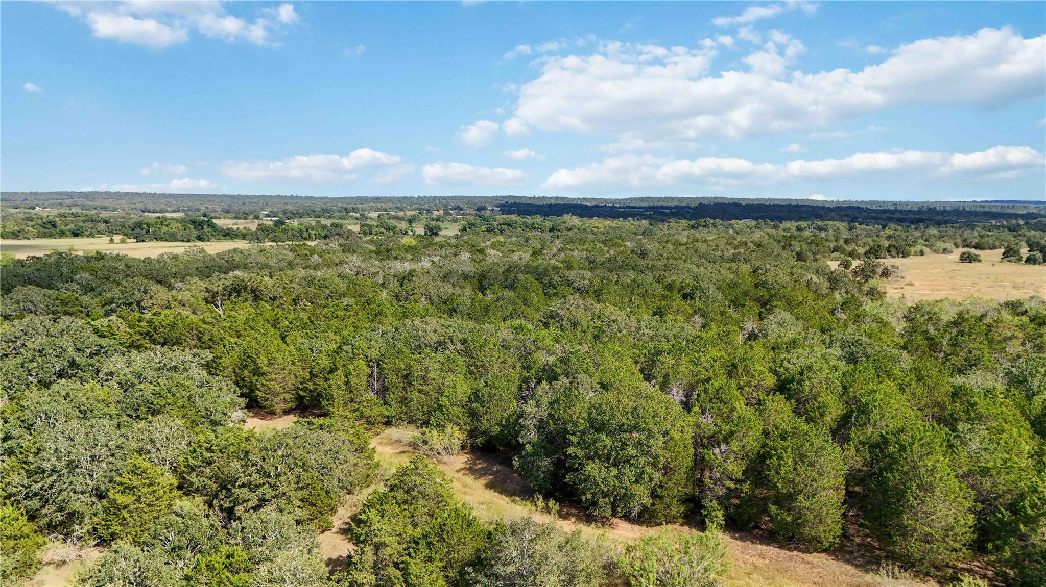 TBD FM 2336, McDade, TX 78650