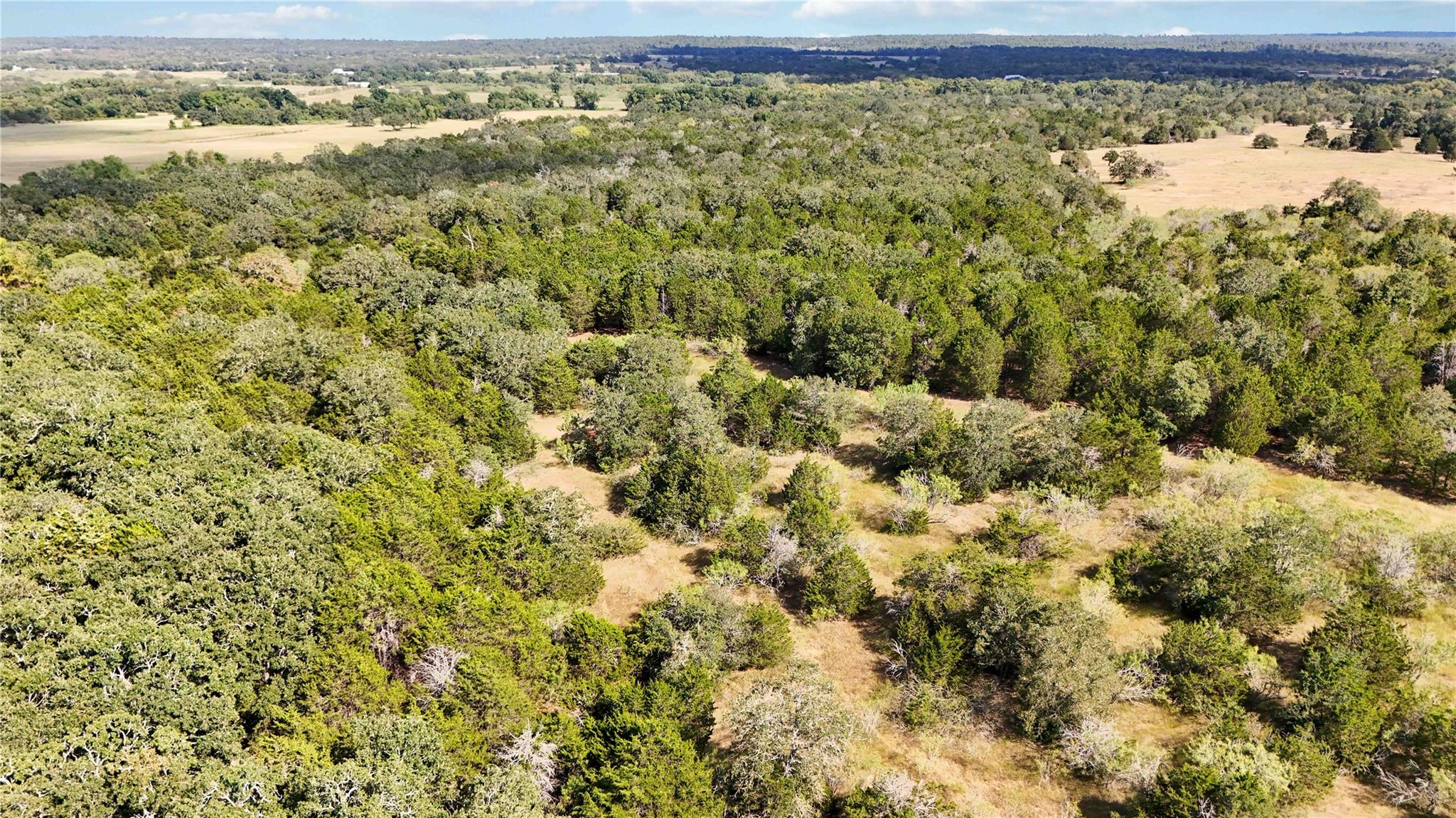 TBD FM 2336, McDade, TX 78650
