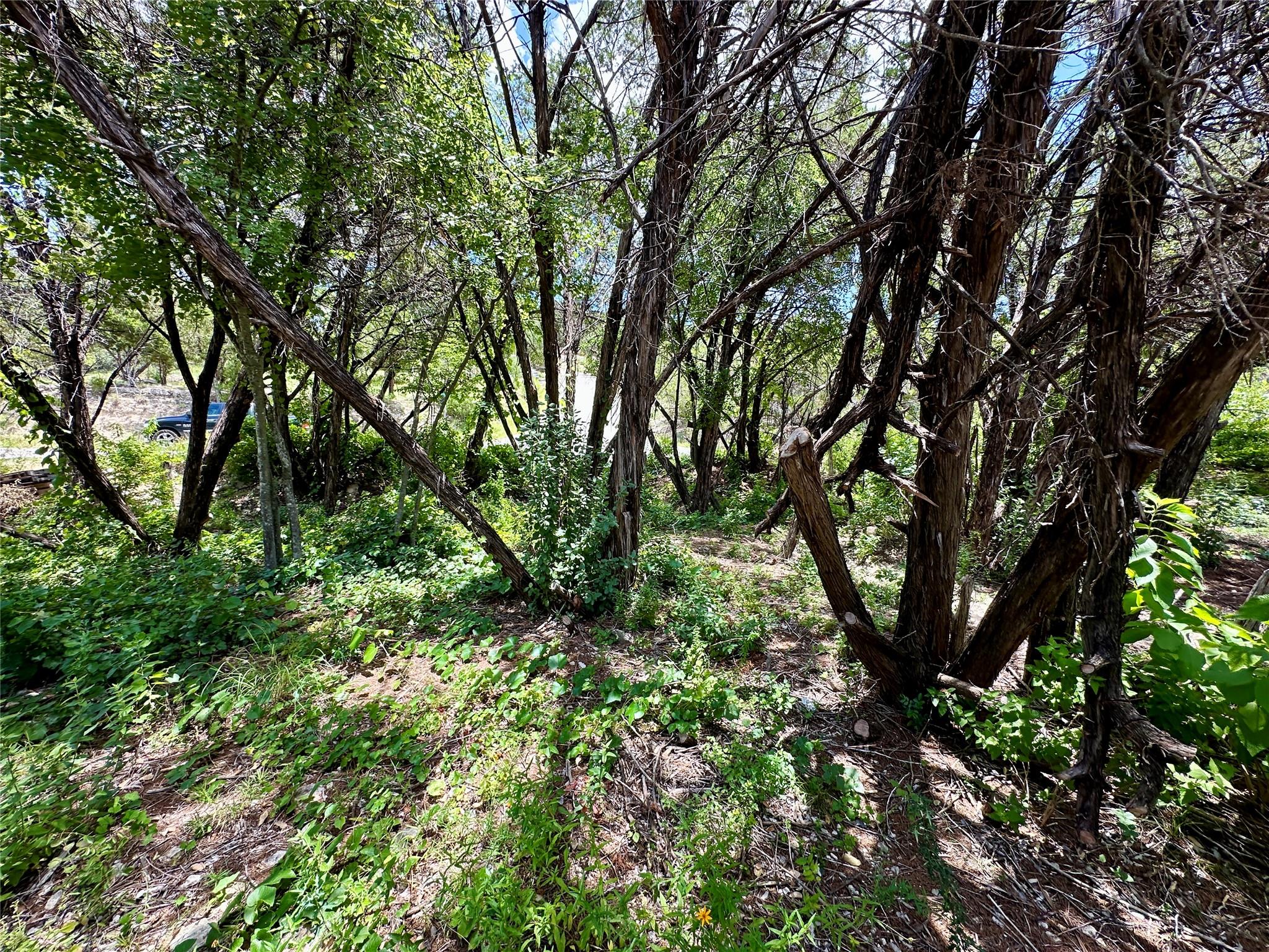 8316 Bronco Ln, Lago Vista, TX 78645