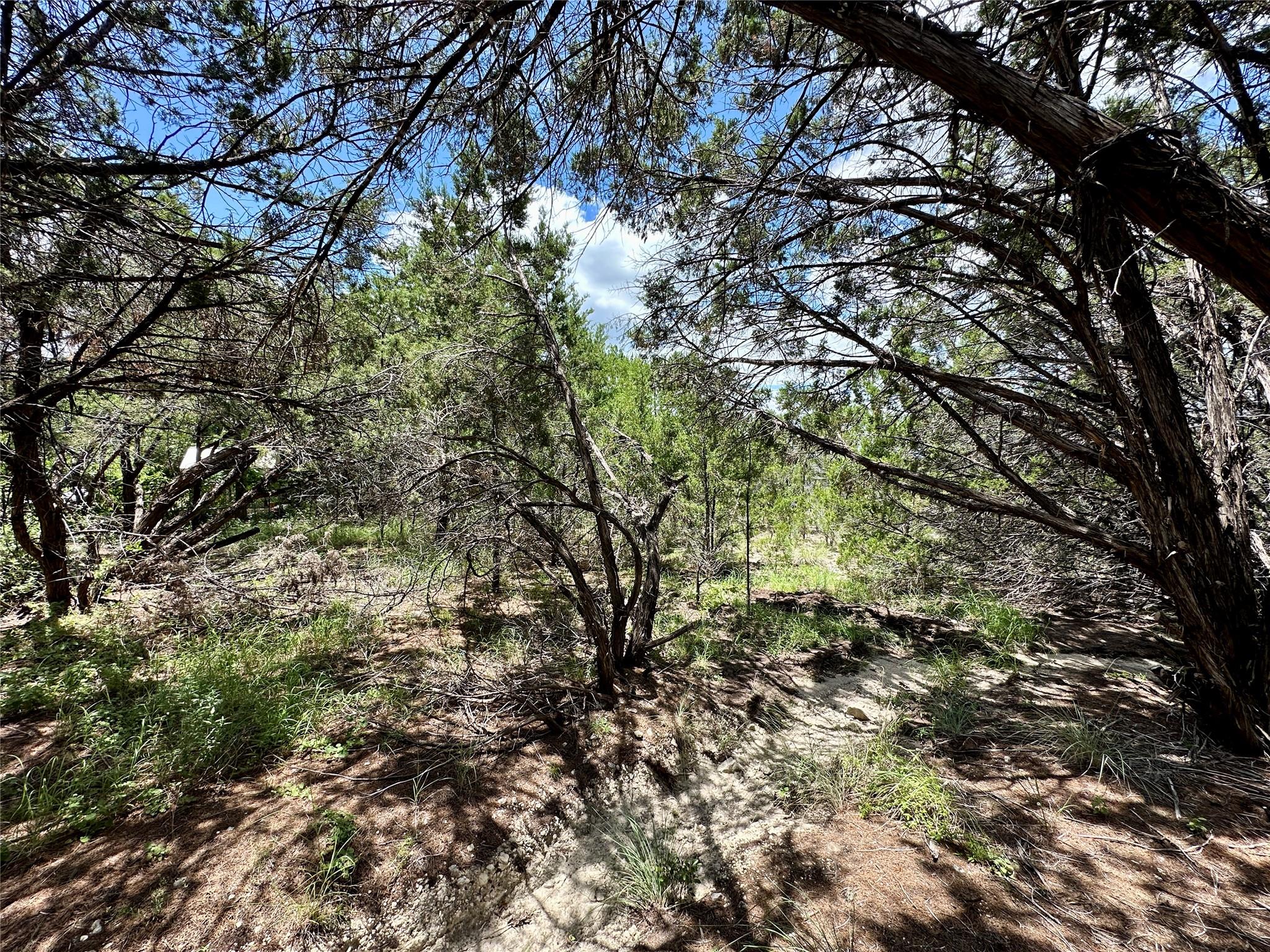 8316 Bronco Ln, Lago Vista, TX 78645