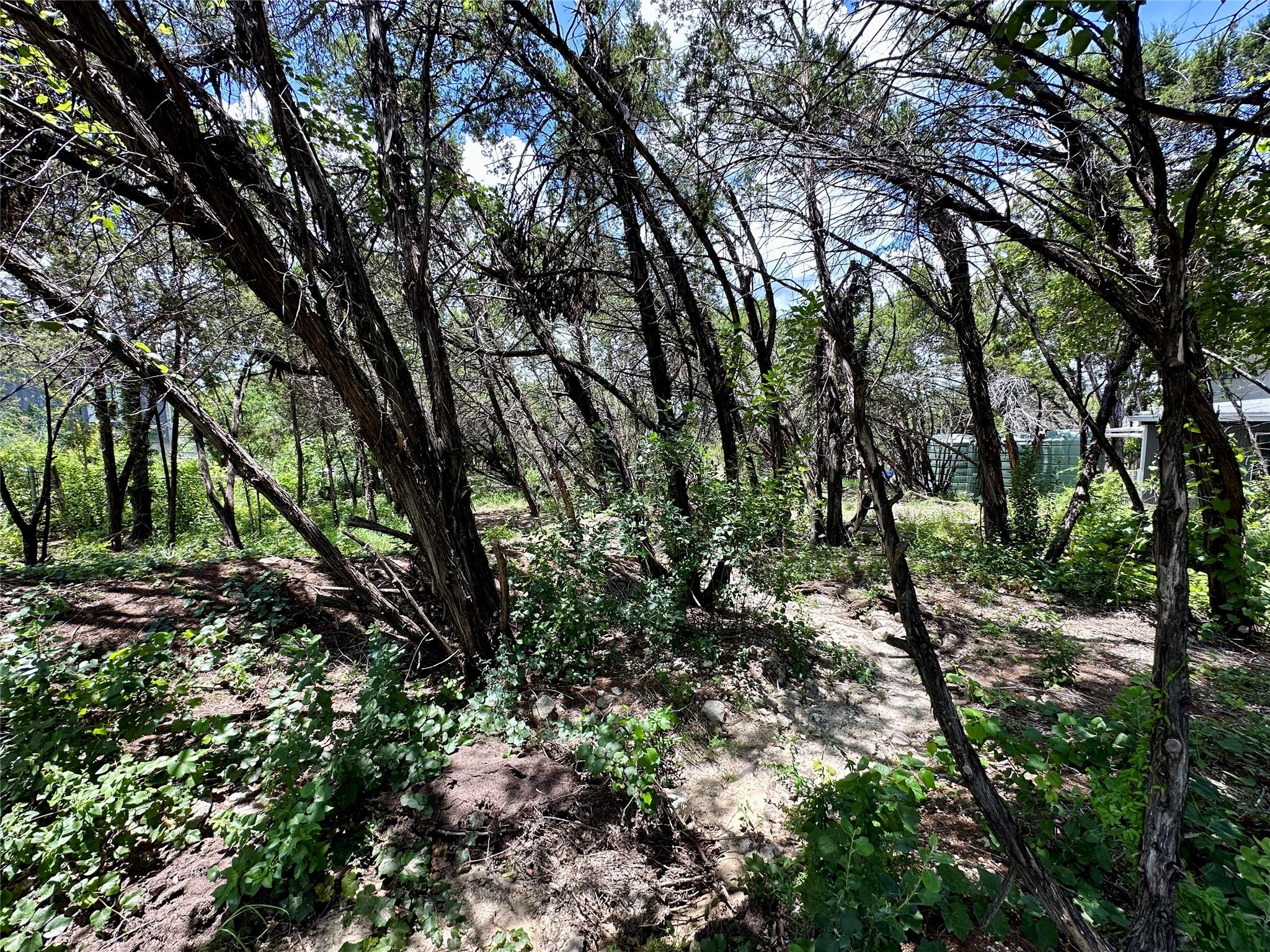 8316 Bronco Ln, Lago Vista, TX 78645