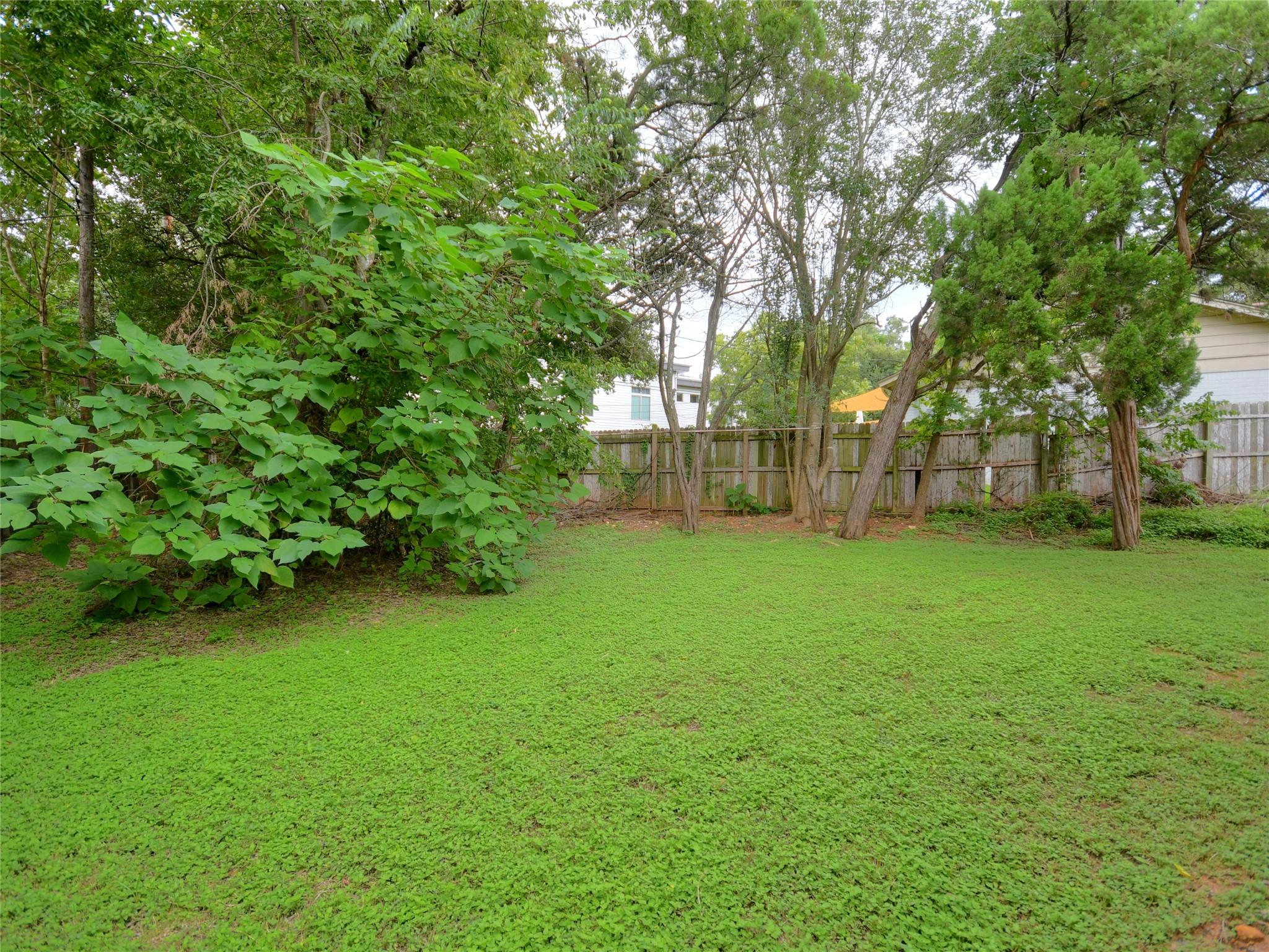 3609 Winfield Cv, Austin, TX 78704