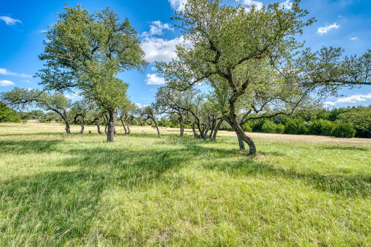 Round Mountain, TX 78663