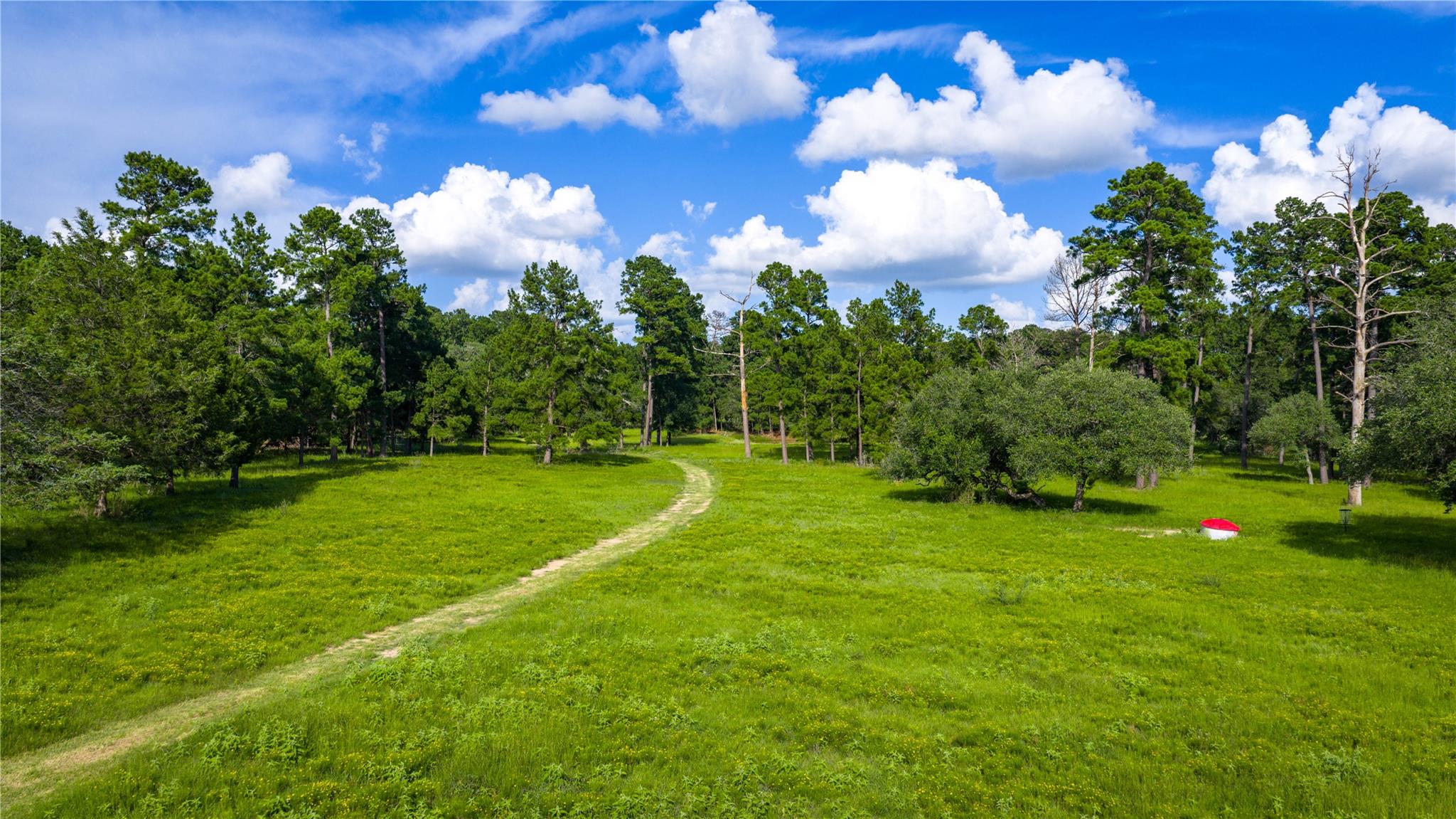 2094 Zimmerscheidt, New Ulm, TX 78950