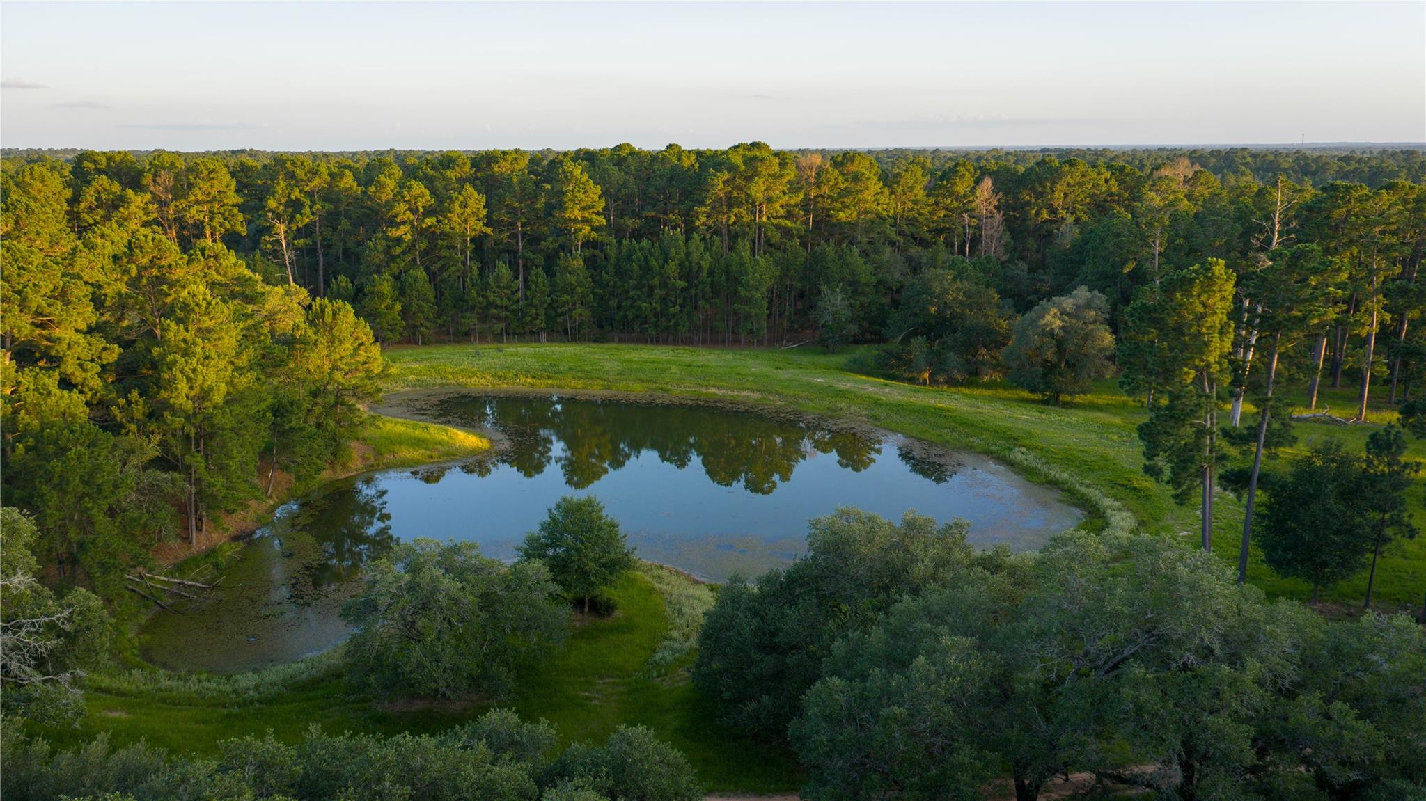2094 Zimmerscheidt, New Ulm, TX 78950