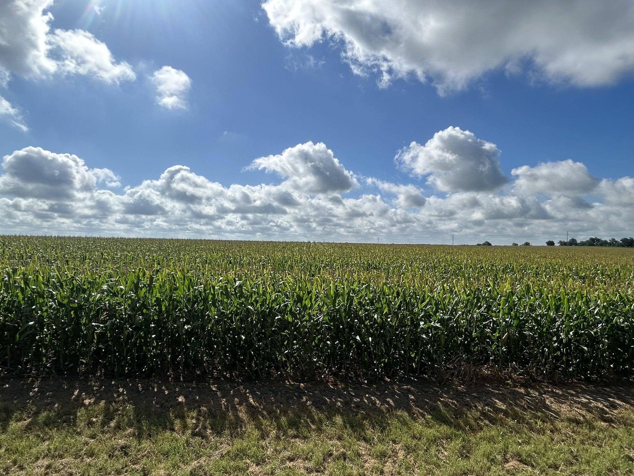 TBD2 Apple Cider Rd, Temple, TX 76501