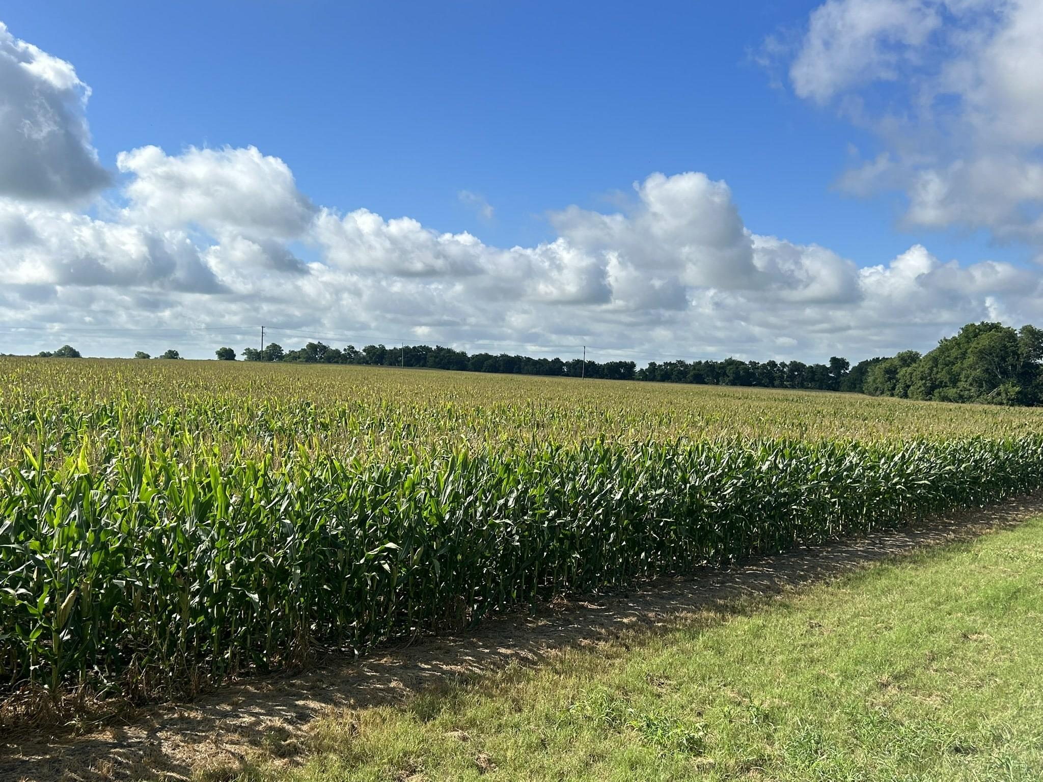 TBD2 Apple Cider Rd, Temple, TX 76501
