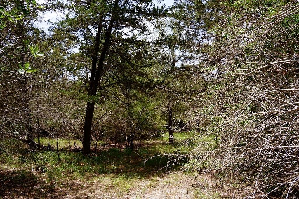 550 N Raymond Rd, La Grange, TX 78945