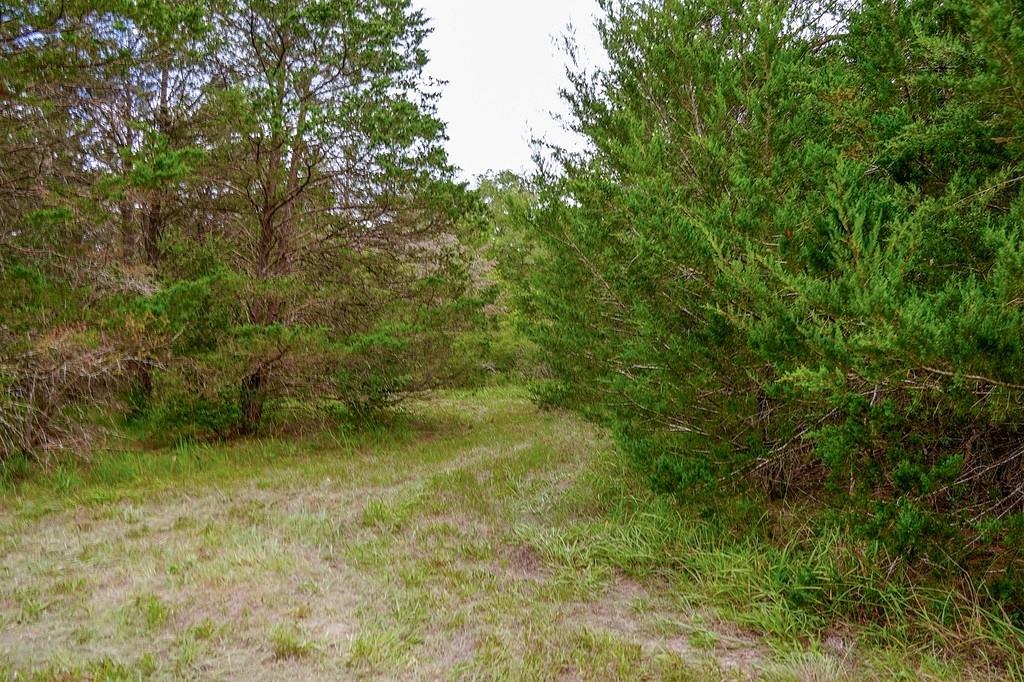 550 N Raymond Rd, La Grange, TX 78945