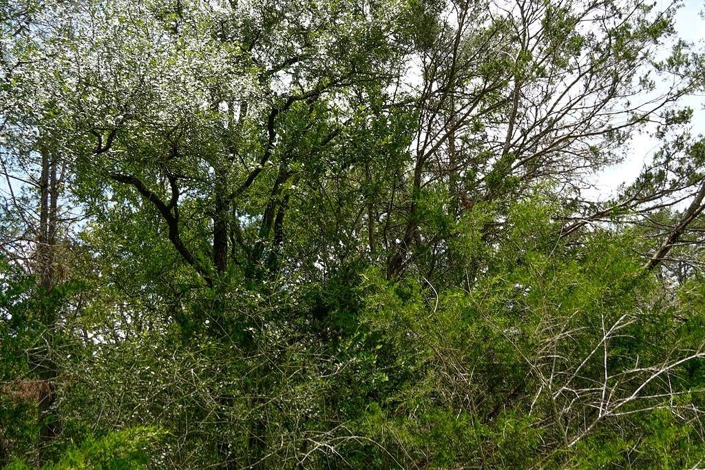 550 N Raymond Rd, La Grange, TX 78945