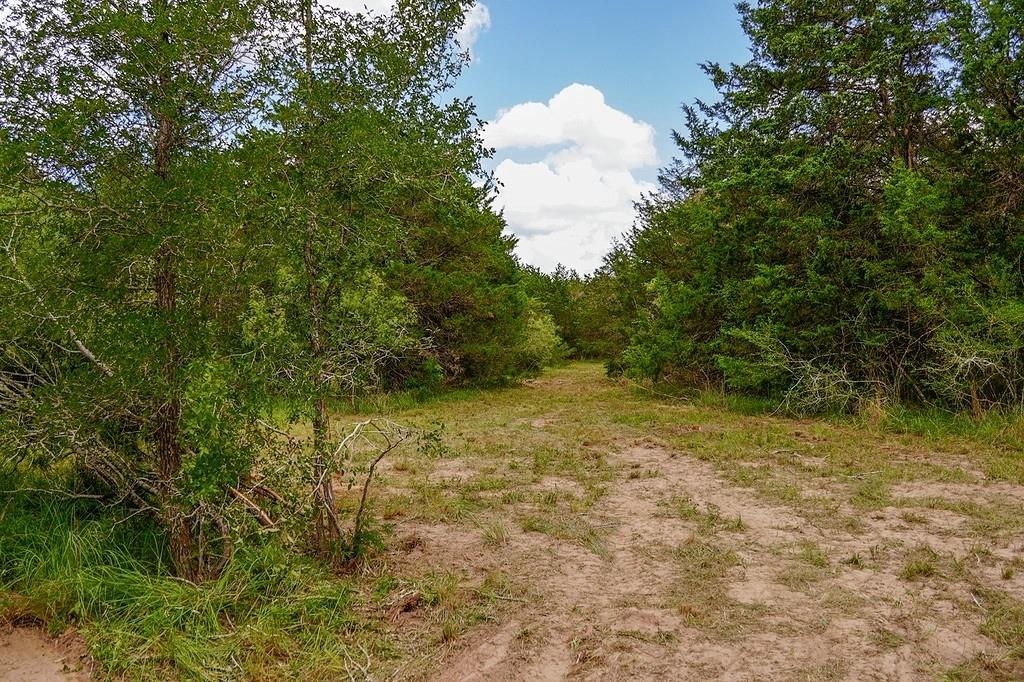 550 N Raymond Rd, La Grange, TX 78945