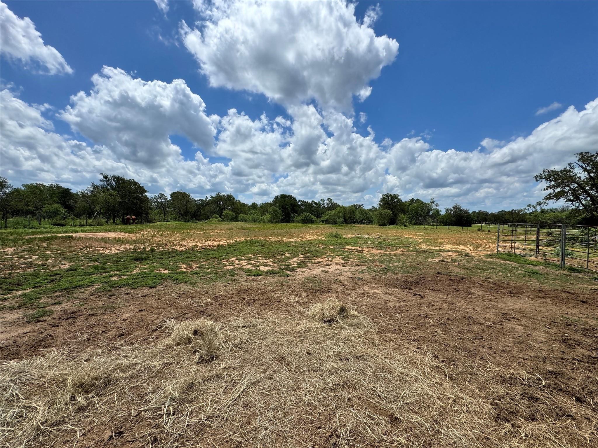 564 Riddle Rd, Cedar Creek, TX 78612