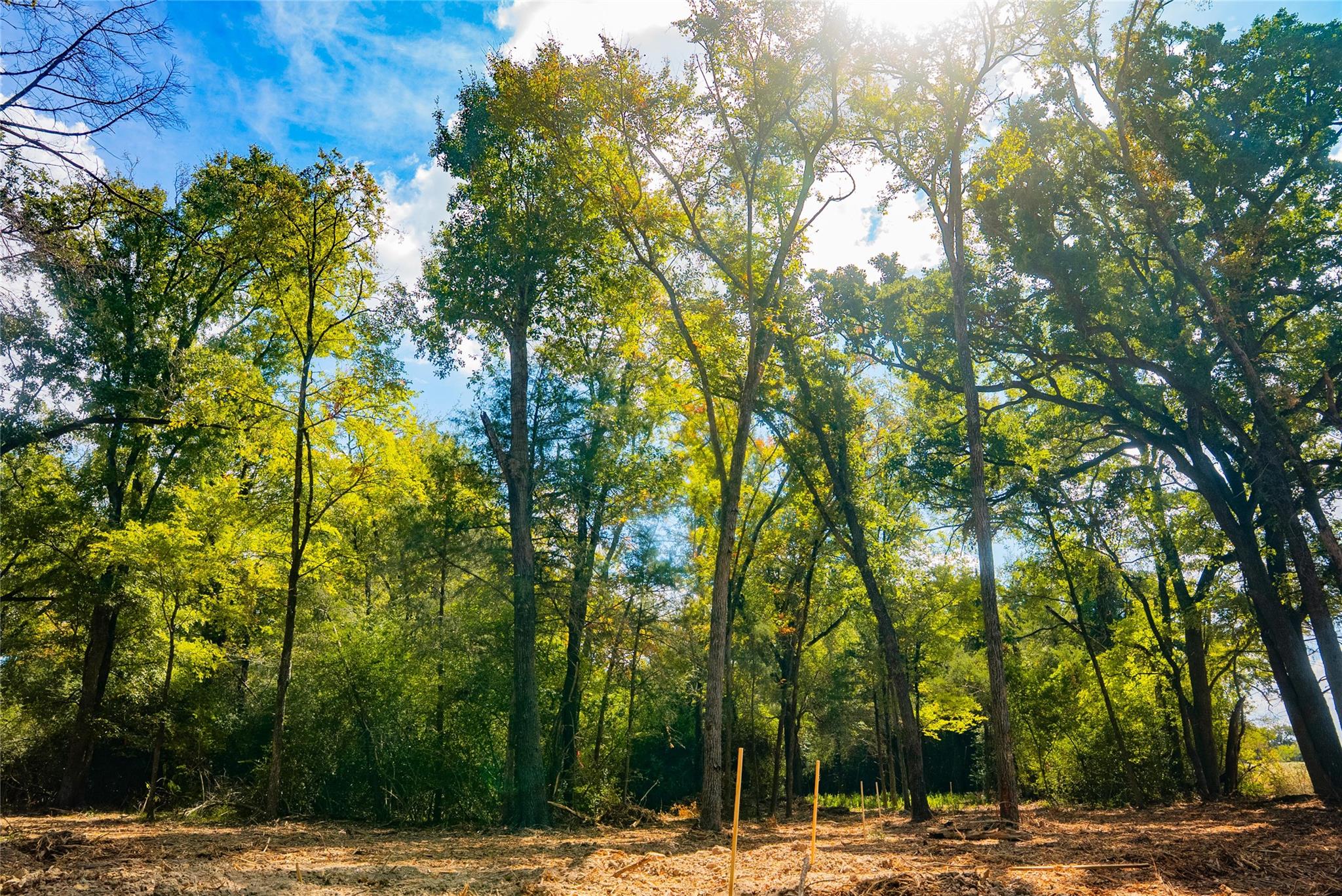 12608 Red Hill Rd, Calvert, TX 77859