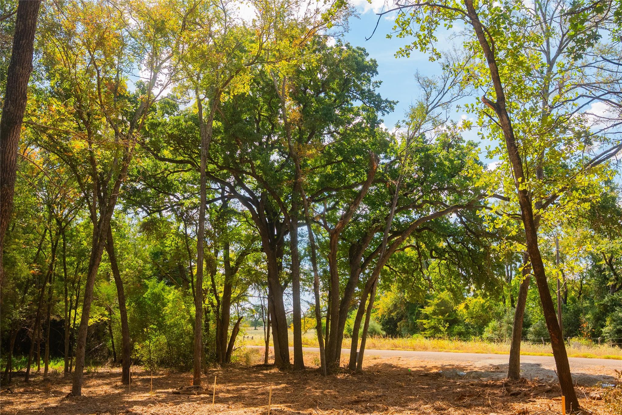 12608 Red Hill Rd, Calvert, TX 77859