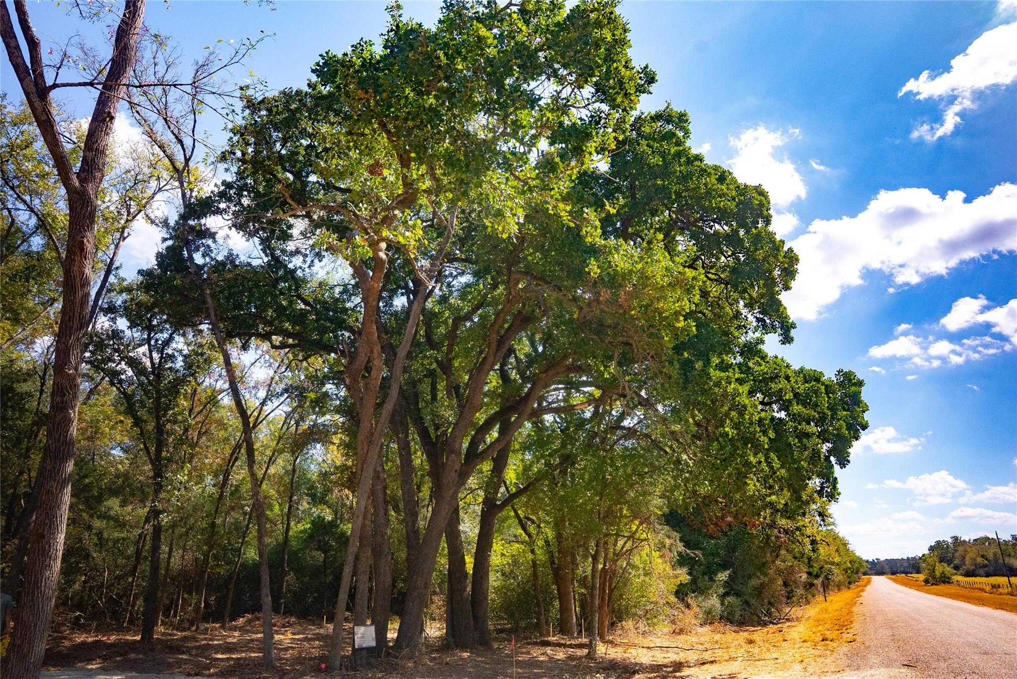 12608 Red Hill Rd, Calvert, TX 77859