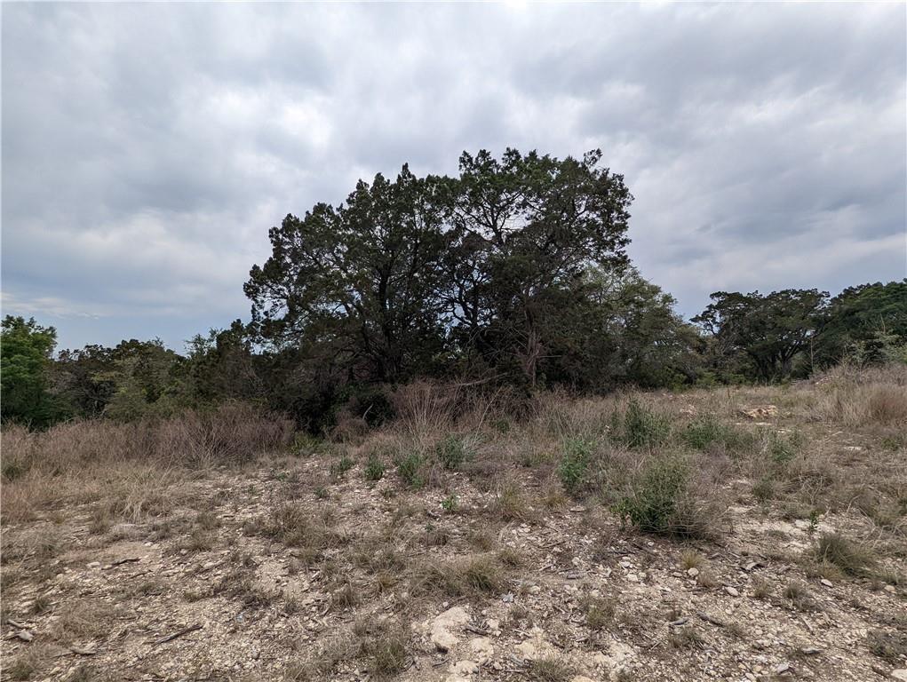 19712 Tyler Trl, Lago Vista, TX 78645