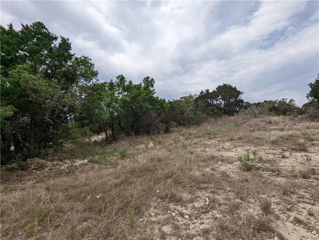 19712 Tyler Trl, Lago Vista, TX 78645