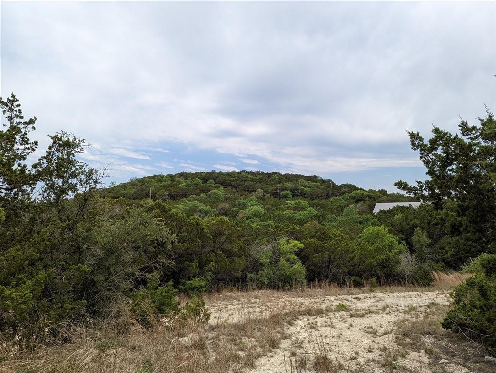 19712 Tyler Trl, Lago Vista, TX 78645