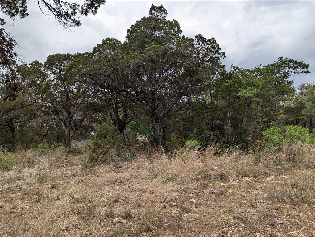 19712 Tyler Trl, Lago Vista, TX 78645