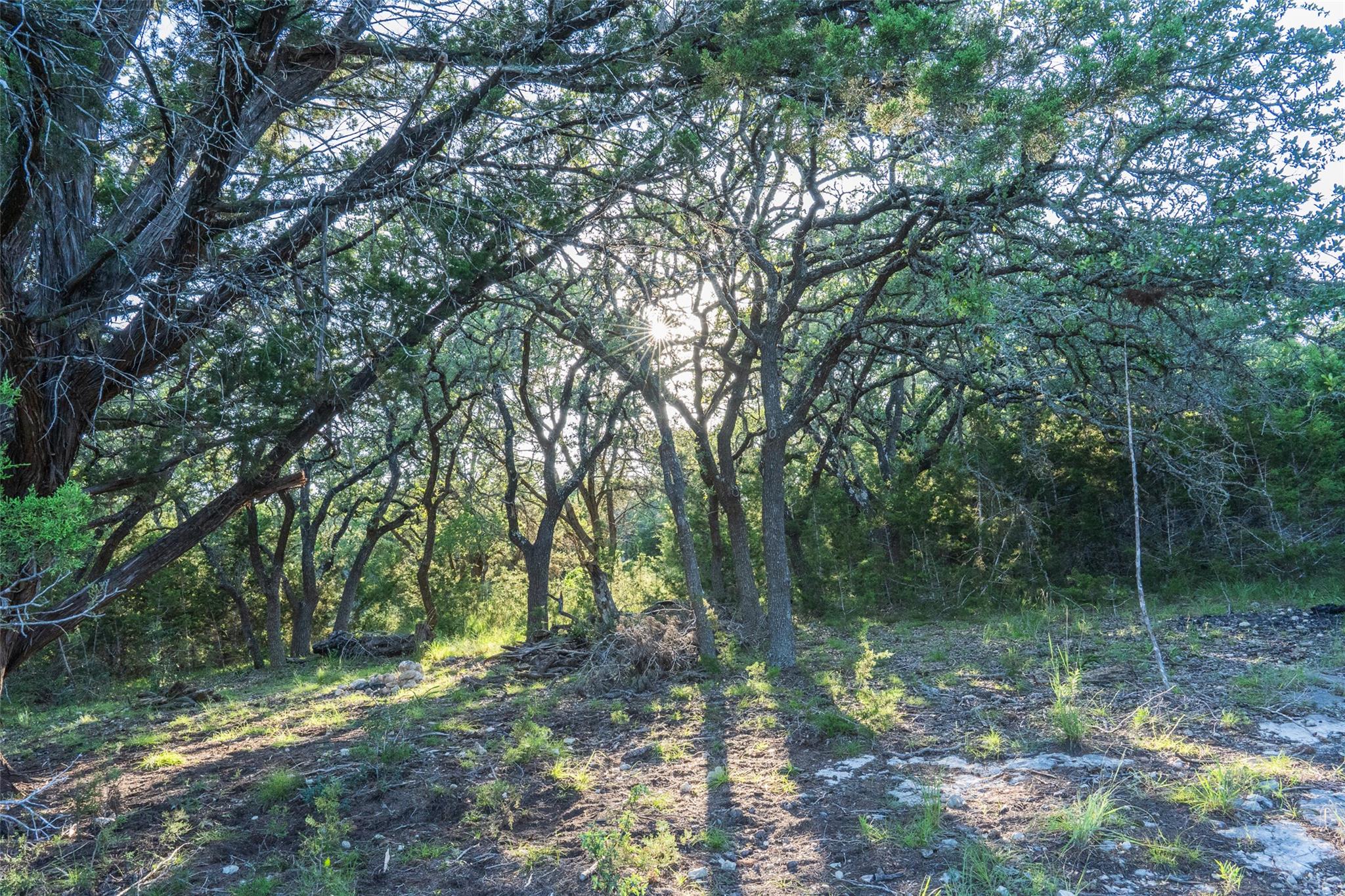 TBD Crabapple Rd, Blanco, TX 78660