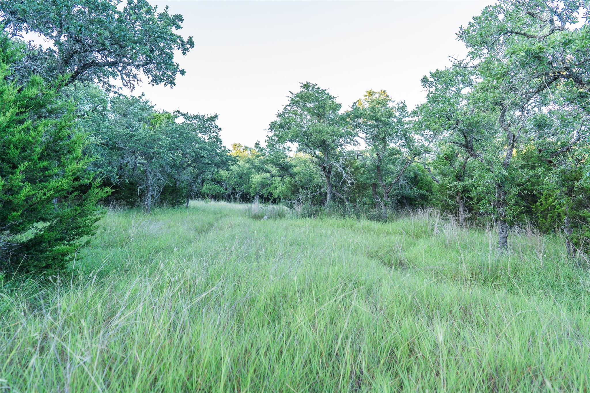 TBD Crabapple Rd, Blanco, TX 78660