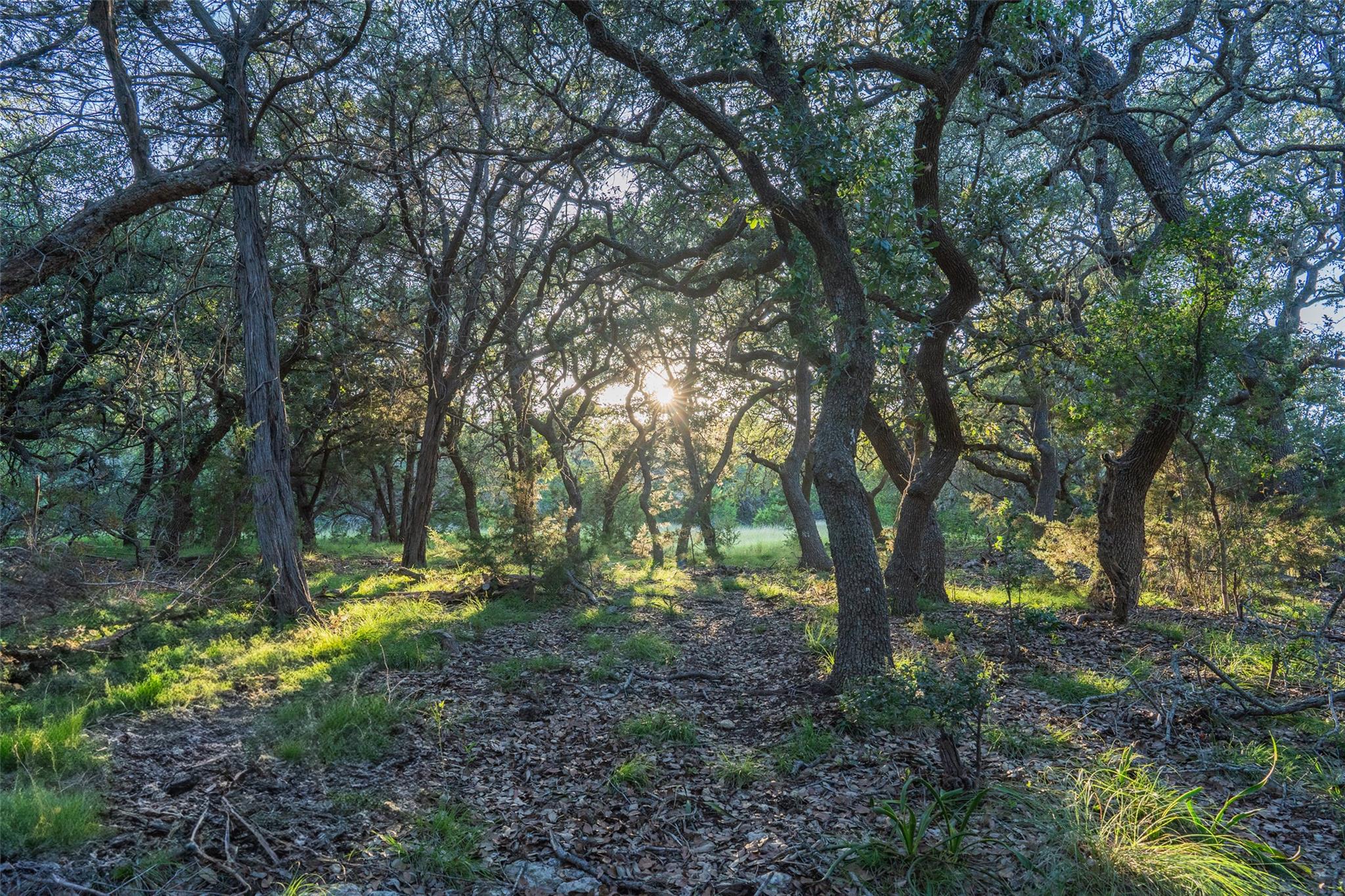 TBD Crabapple Rd, Blanco, TX 78660