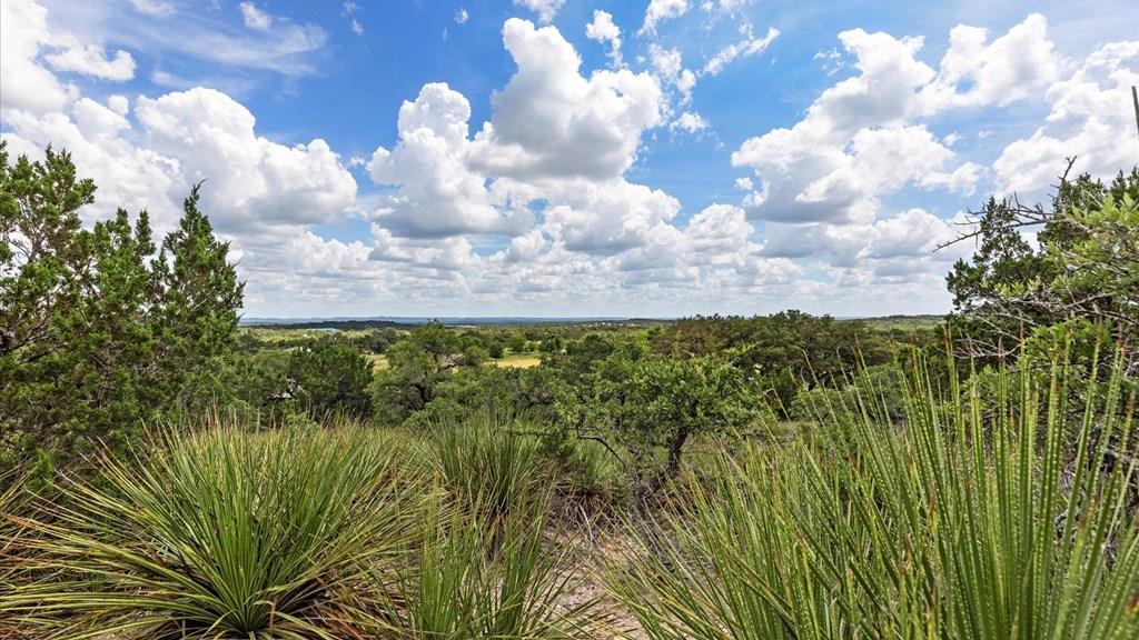 Spring Branch, TX 78070