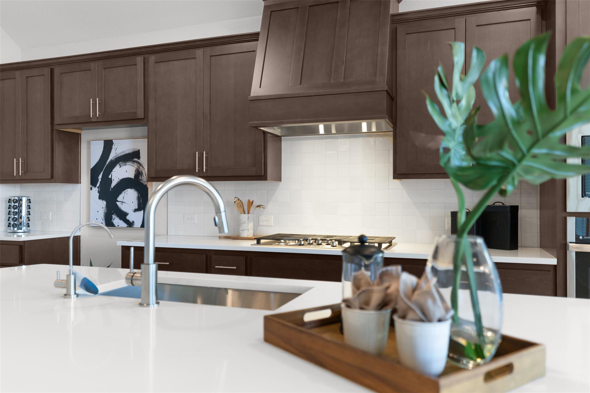 2004 Tobiano Trce, Georgetown, TX 78633