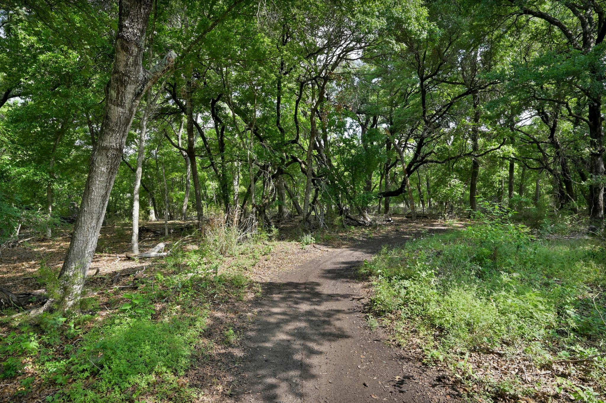 337 Blue Sage Dr, Leander, TX 78641