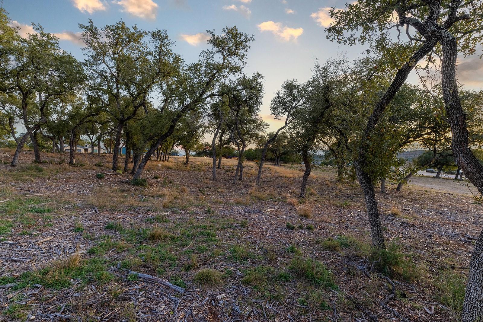 21603 Thomas Cv, Lago Vista, TX 78645