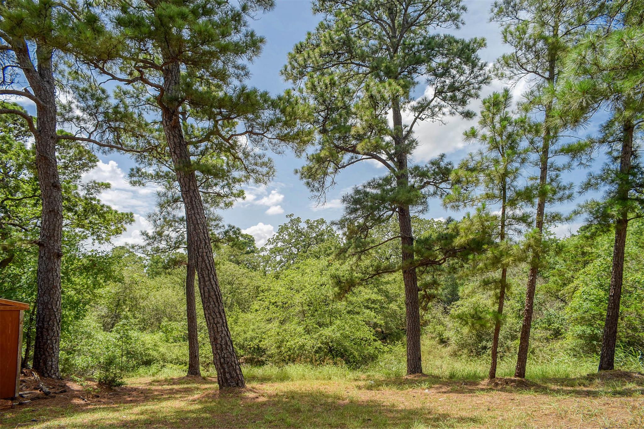 382 Akaloa Dr, Bastrop, TX 78602