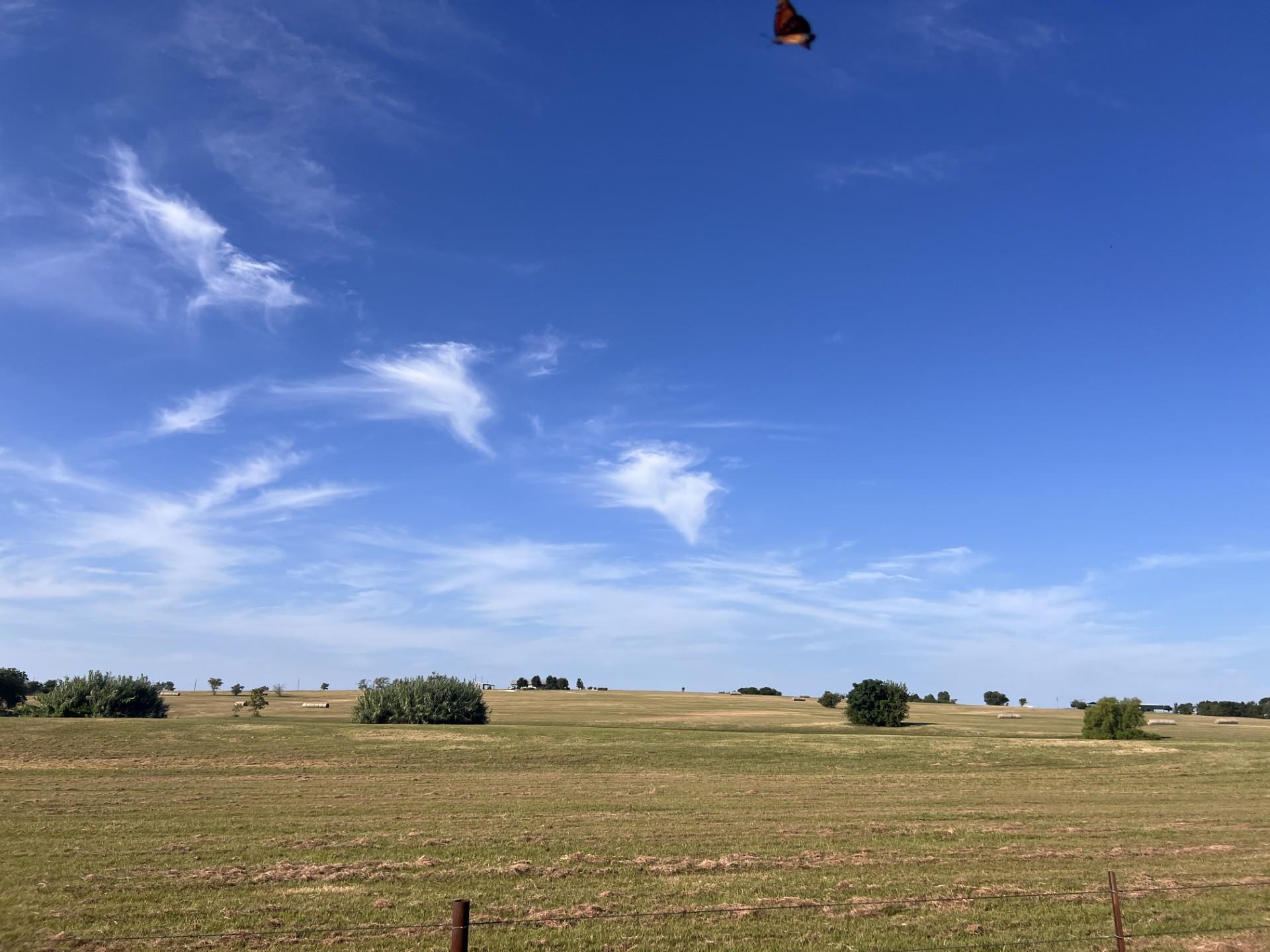 700 County Road 330 Rd, Granger, TX 76530