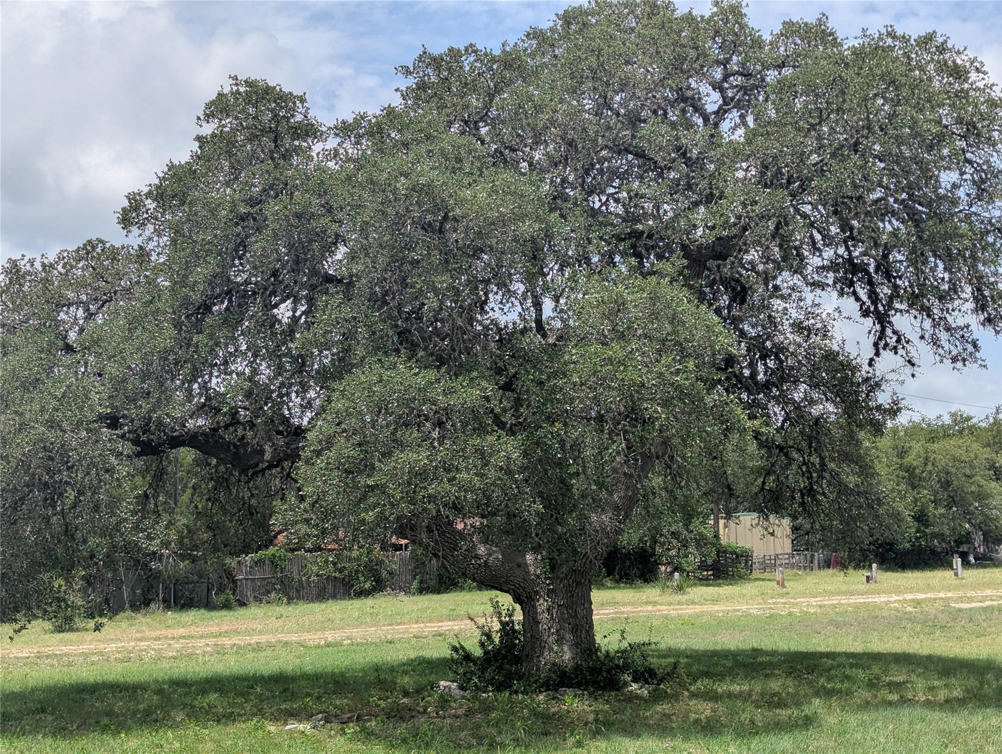 1917 N US Hwy 281, Blanco, TX 78606