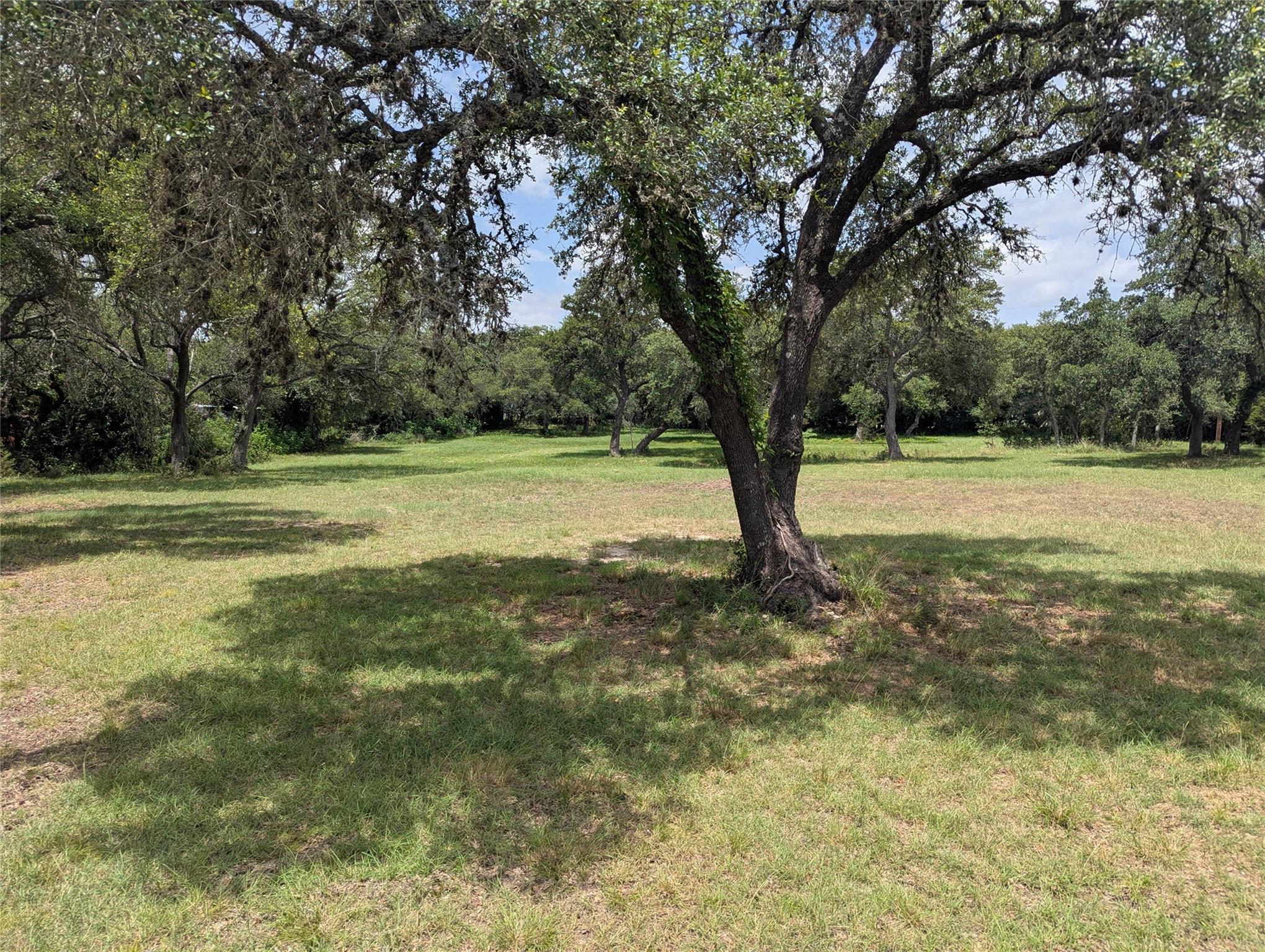 1917 N US Hwy 281, Blanco, TX 78606