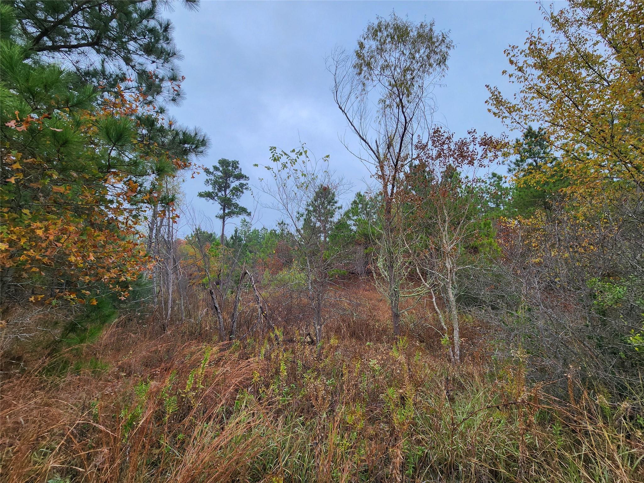 LOT 636 & 637 Mahalo Ct, Bastrop, TX 78602
