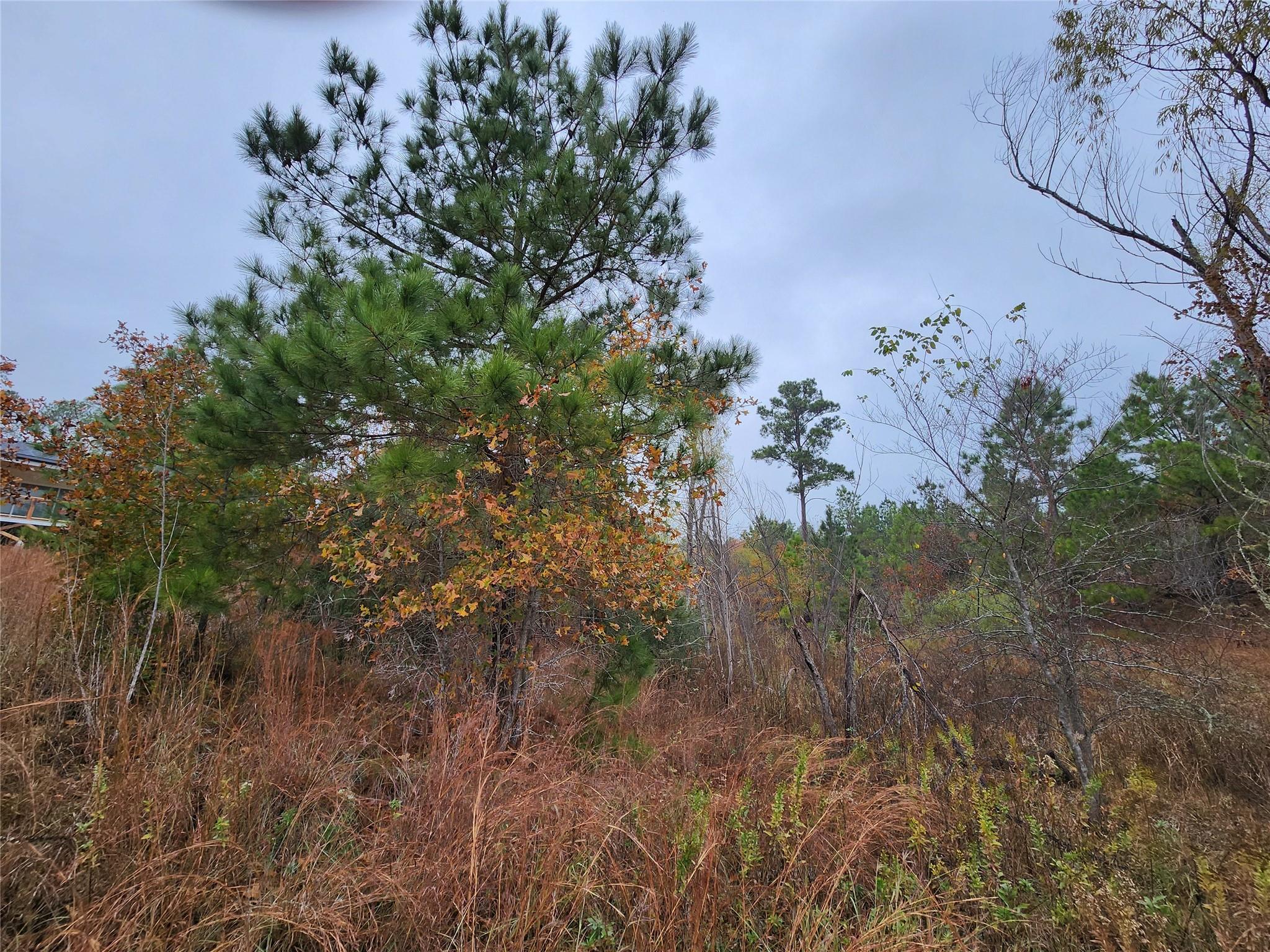 LOT 636 & 637 Mahalo Ct, Bastrop, TX 78602