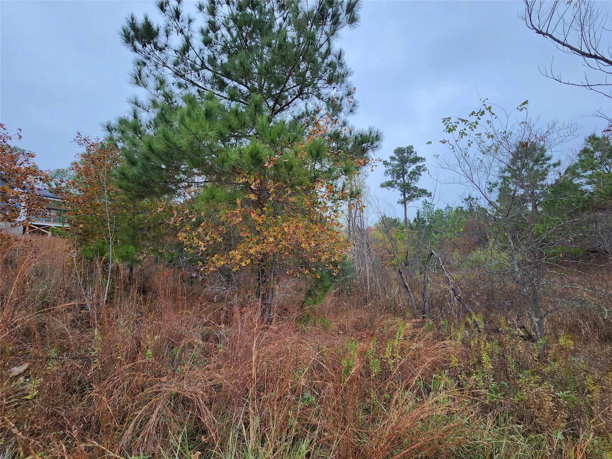 LOT 636 & 637 Mahalo Ct, Bastrop, TX 78602