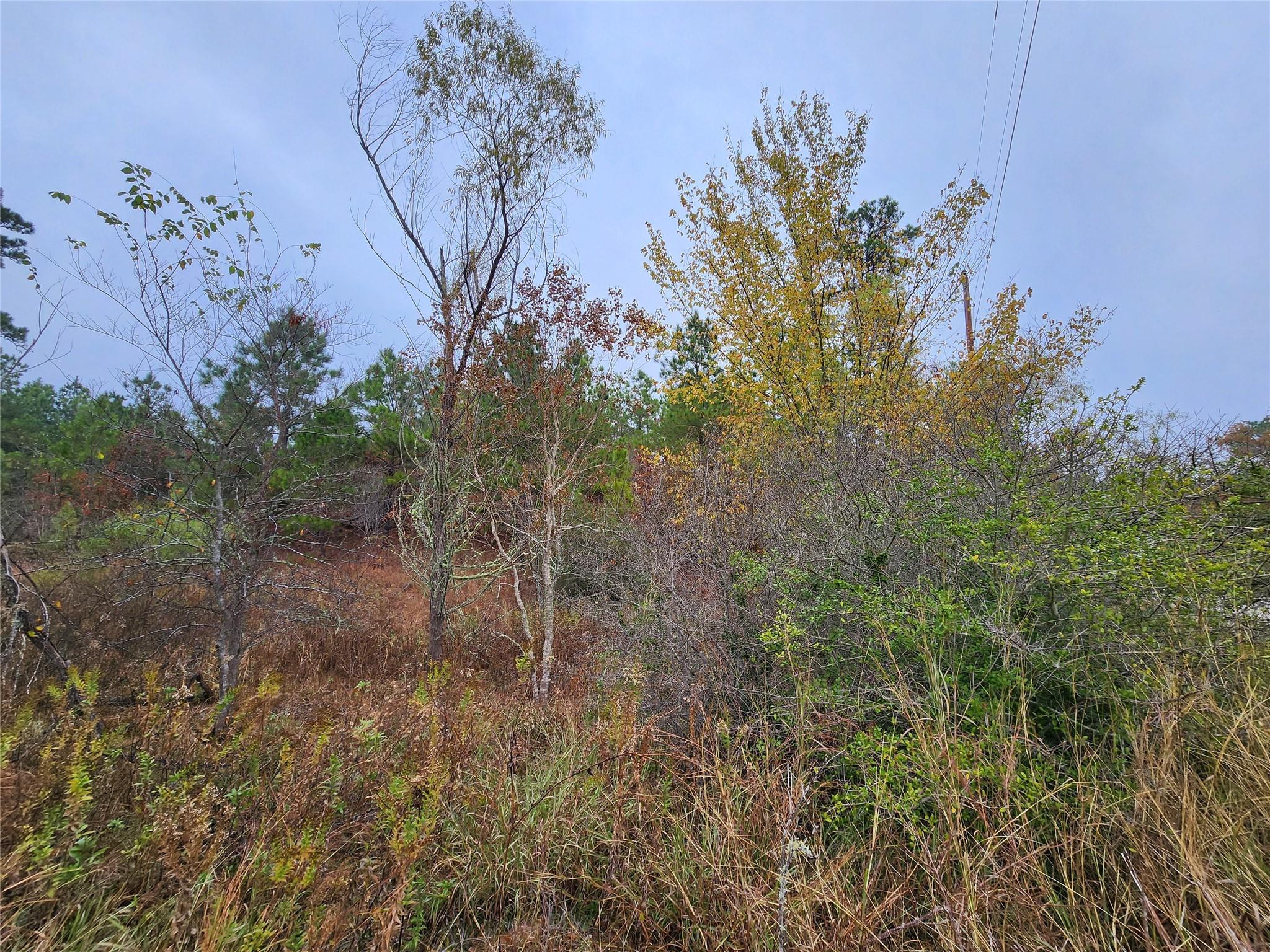 LOT 636 & 637 Mahalo Ct, Bastrop, TX 78602