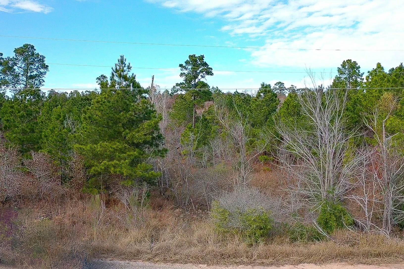 LOT 636 & 637 Mahalo Ct, Bastrop, TX 78602