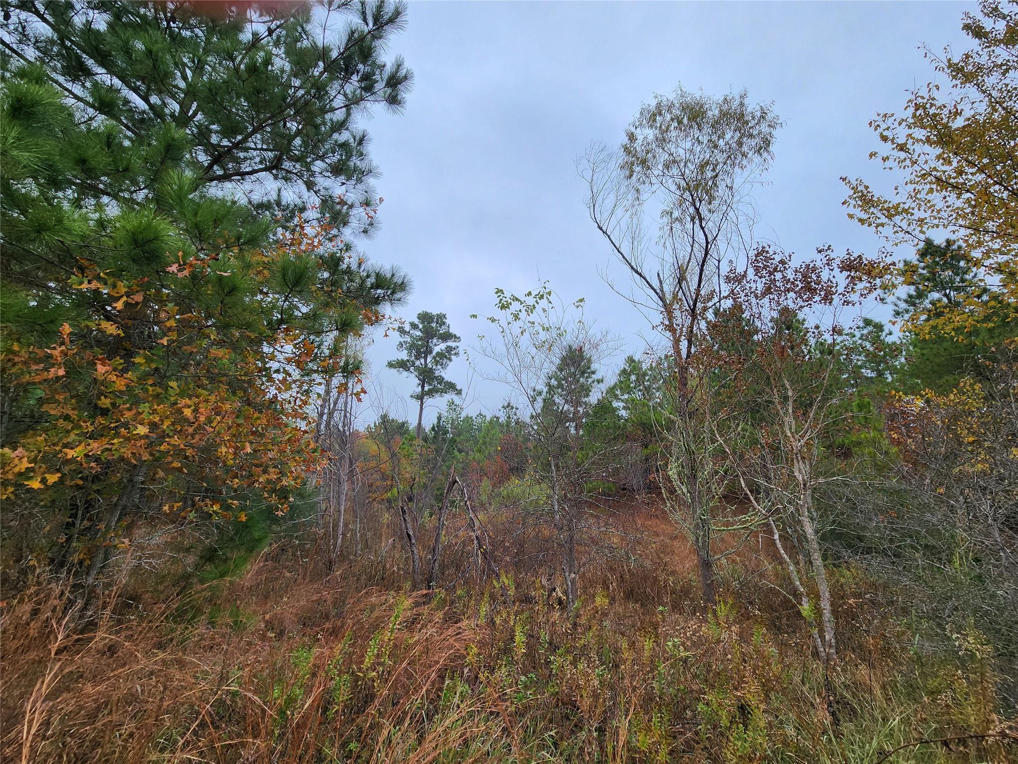 LOT 636 & 637 Mahalo Ct, Bastrop, TX 78602
