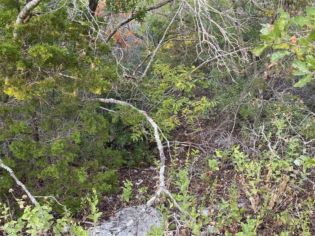 14602 Rock Cliff Cv, Leander, TX 78641