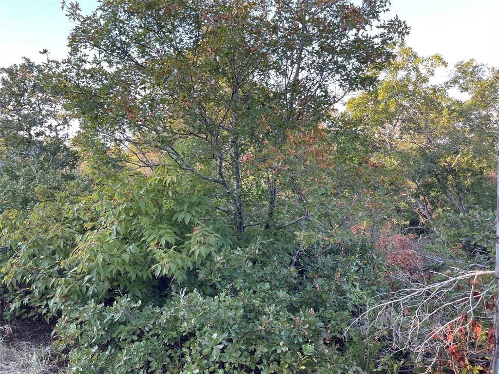 14602 Rock Cliff Cv, Leander, TX 78641