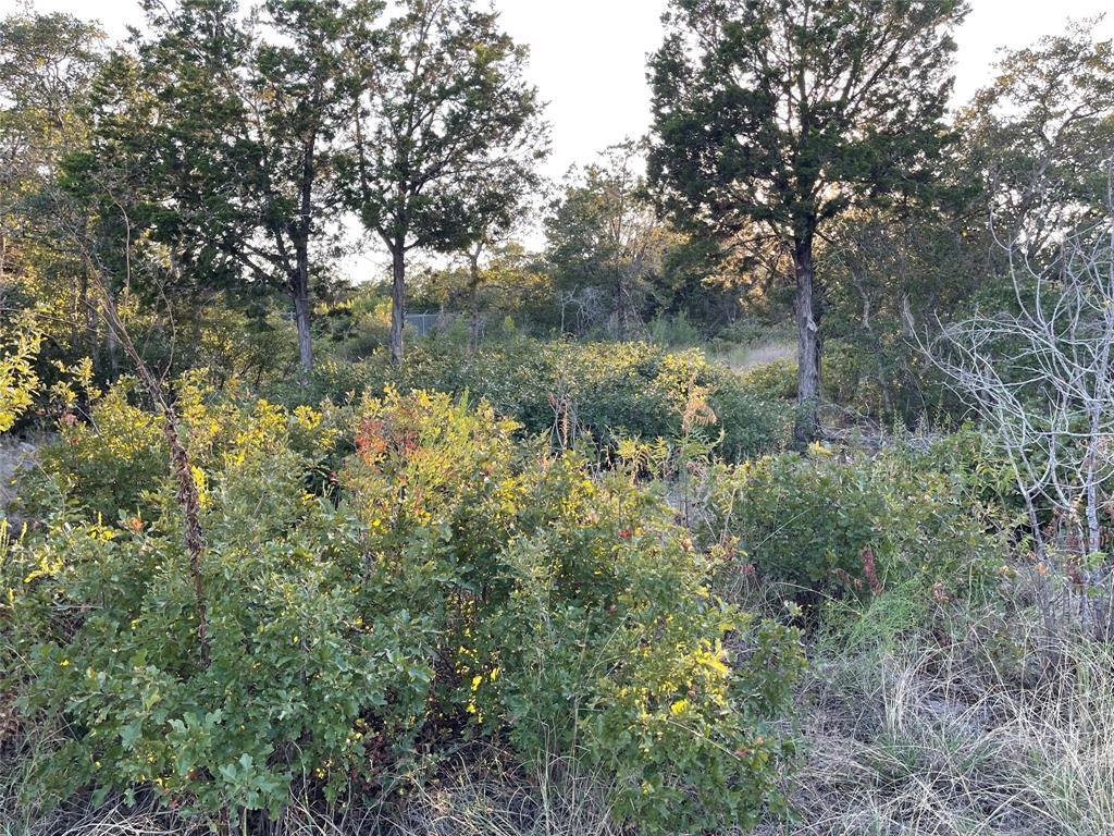 14602 Rock Cliff Cv, Leander, TX 78641