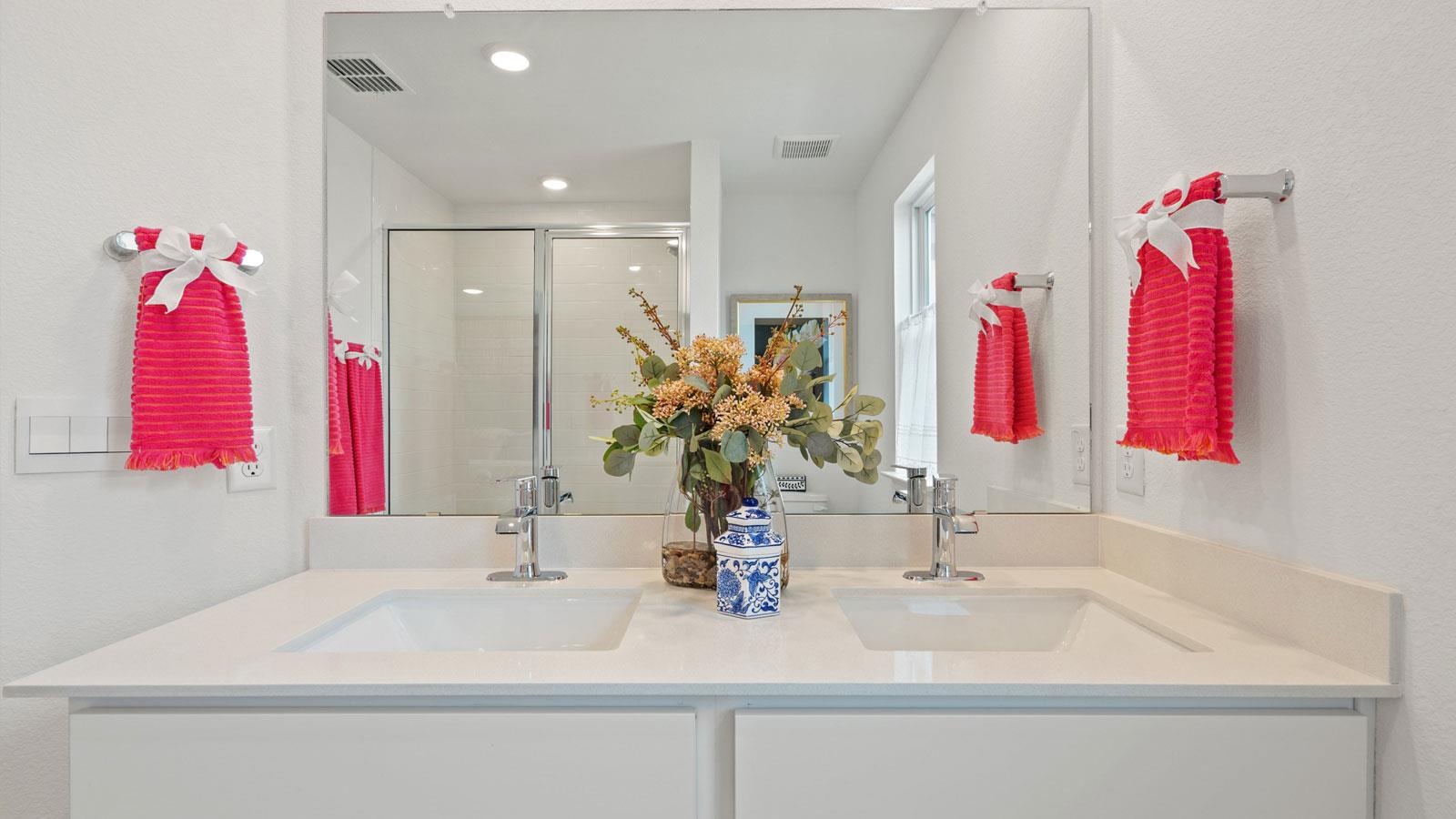 2518 Ophelia Levi Ln, Round Rock, TX 78665