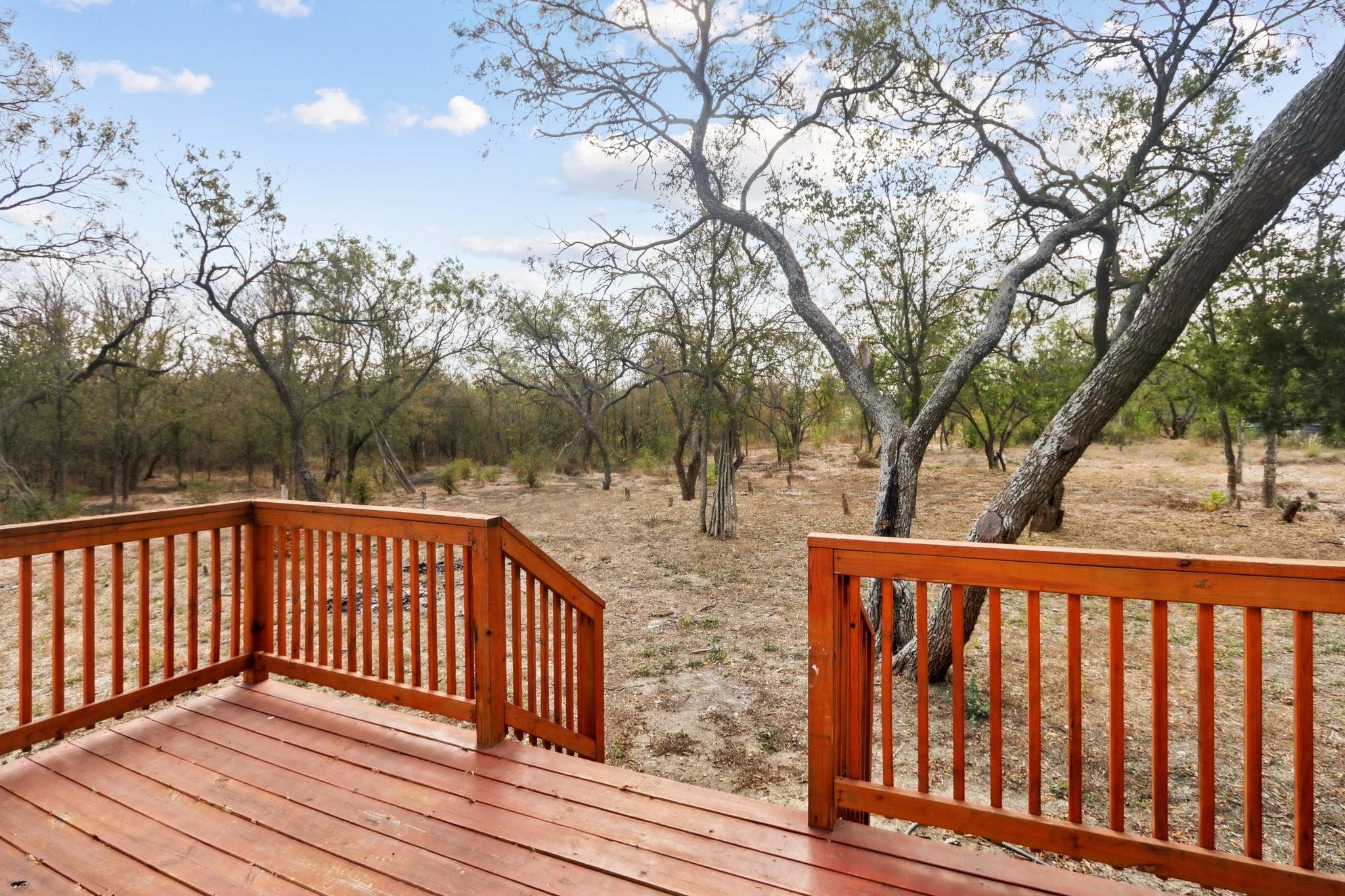 462 Texas Oak Dr, Cedar Creek, TX 78612