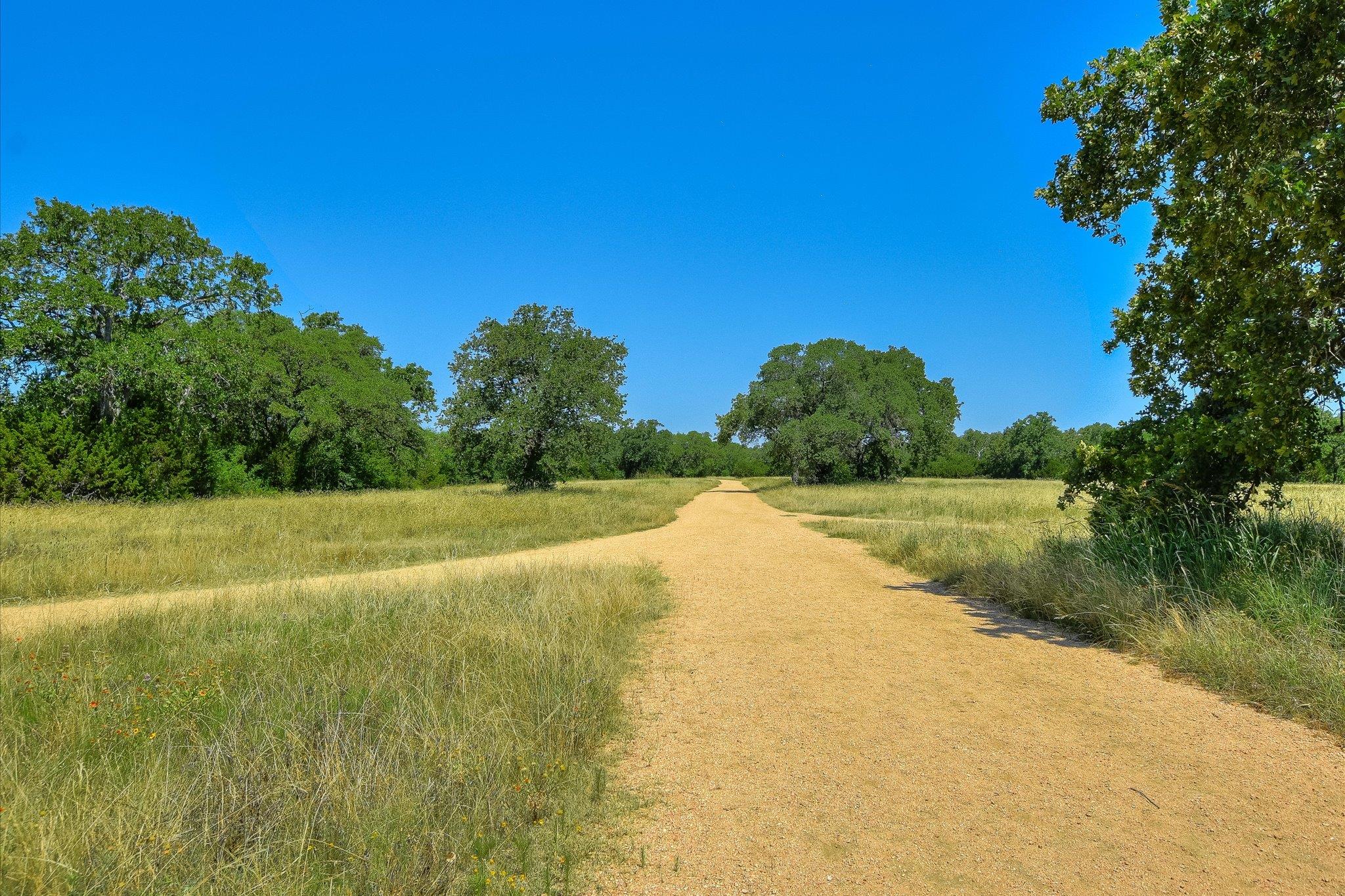 10320 Hansa Cv, Austin, TX 78739