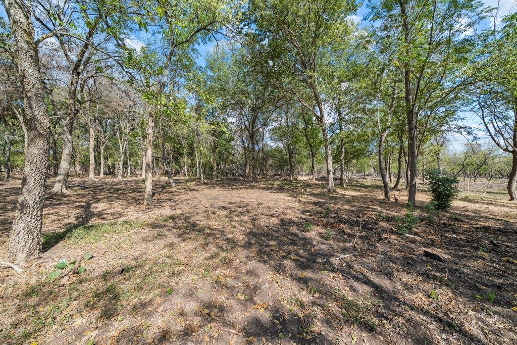 Lot 4 - TBD FM 1979 Rd, Martindale, TX 78655