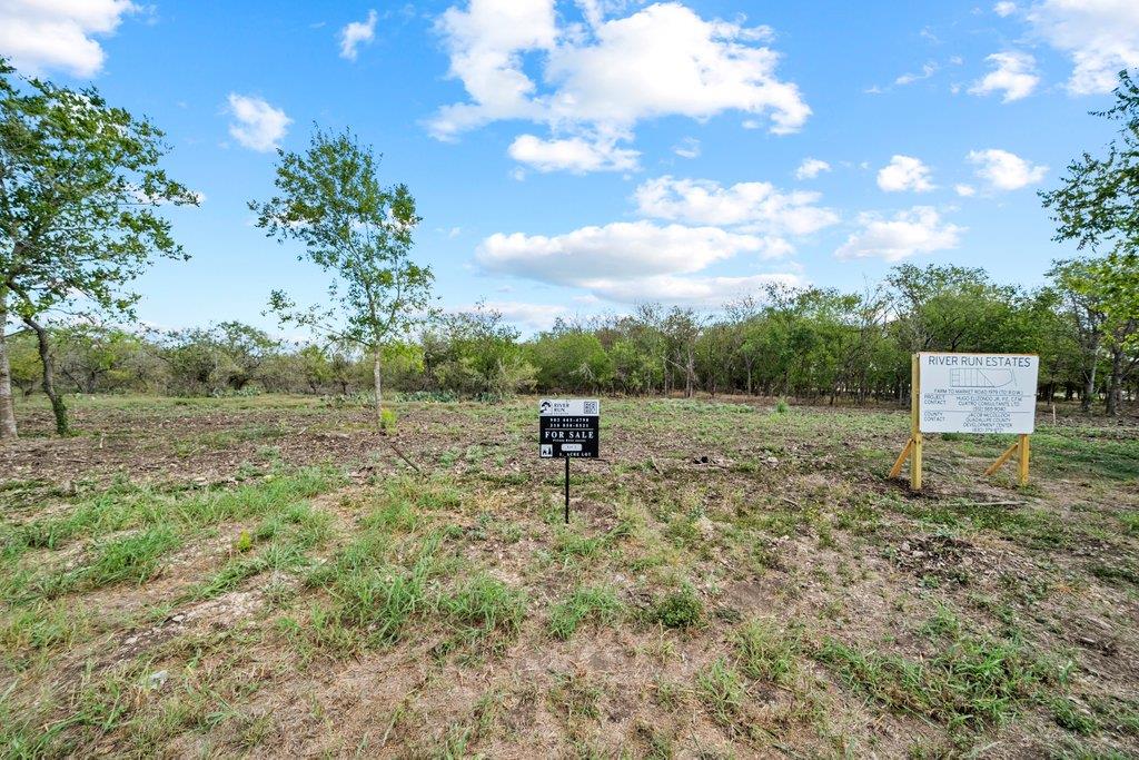 Lot 4 - TBD FM 1979 Rd, Martindale, TX 78655